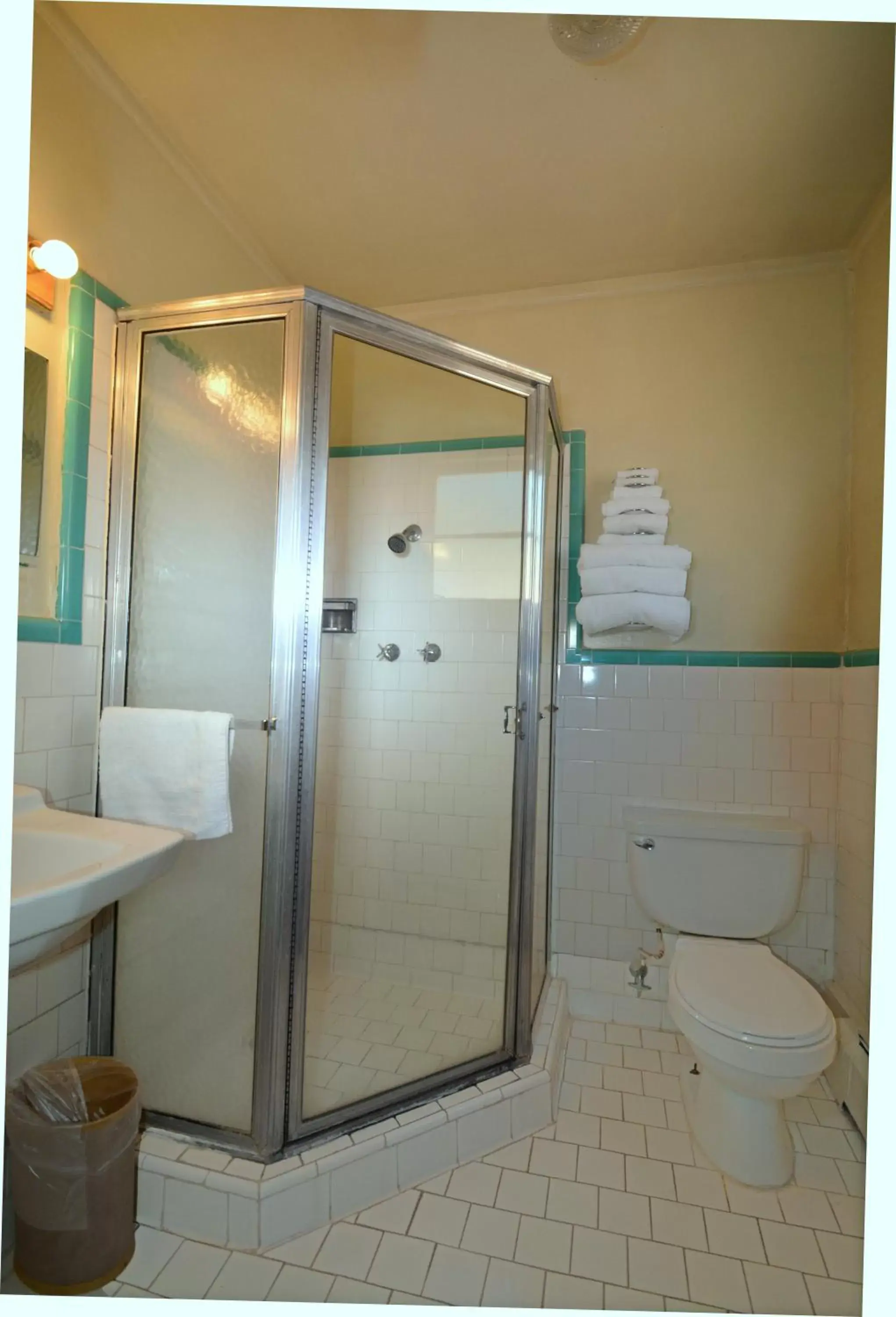 Shower, Bathroom in Western Hills Motel