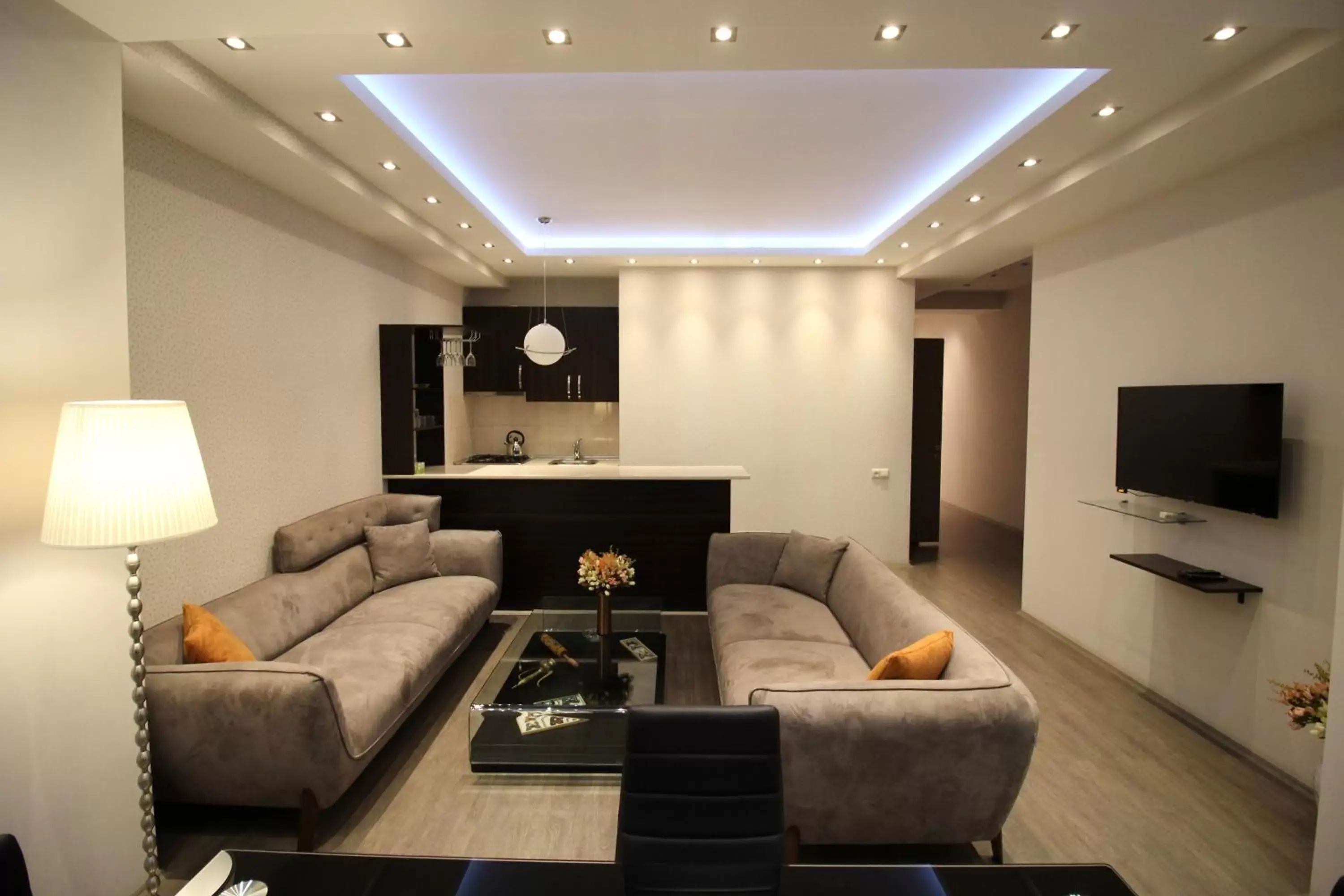 TV and multimedia, Seating Area in Super Luxury Apartments