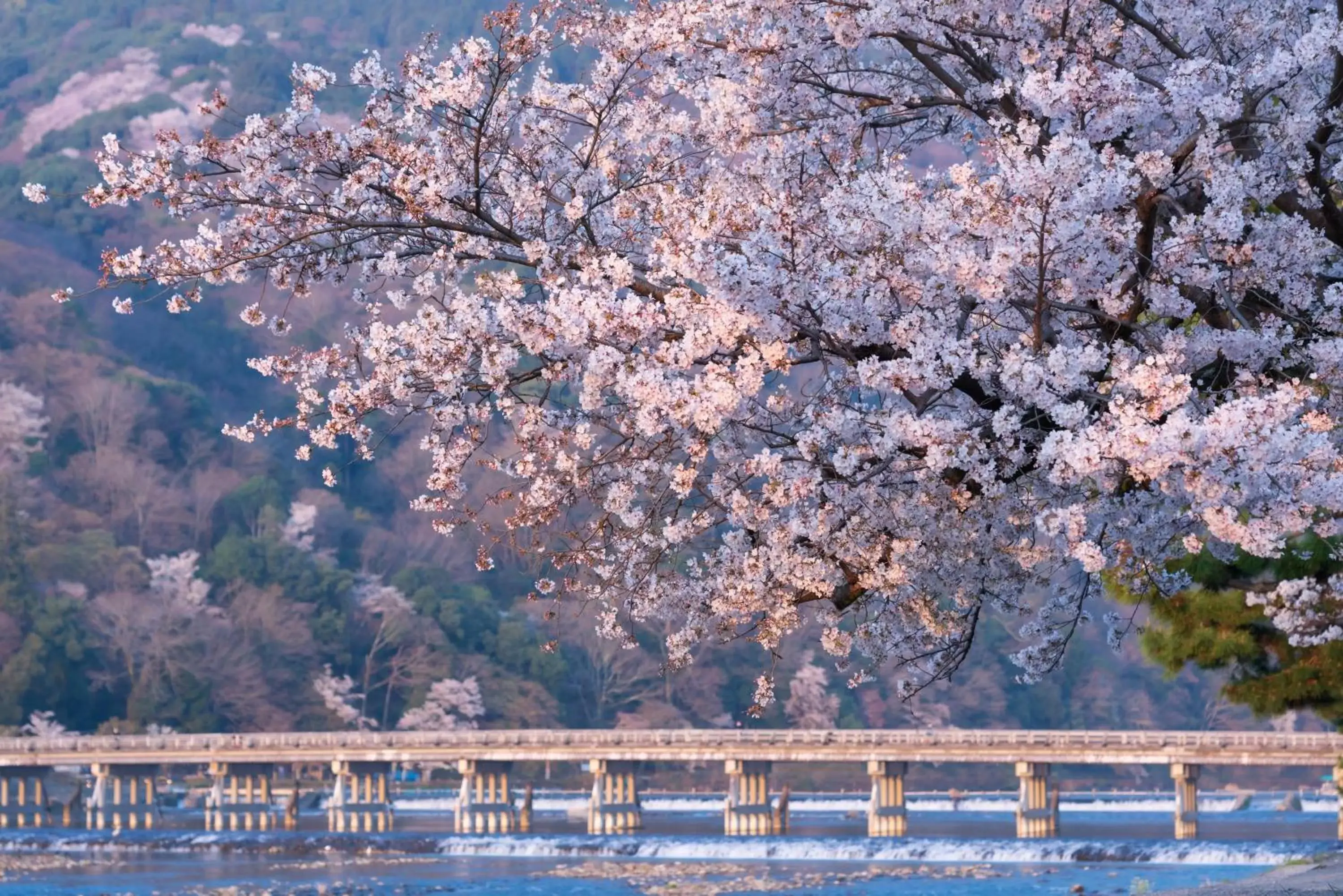 Nearby landmark in Tokyu Stay Kyoto Sanjo-Karasuma