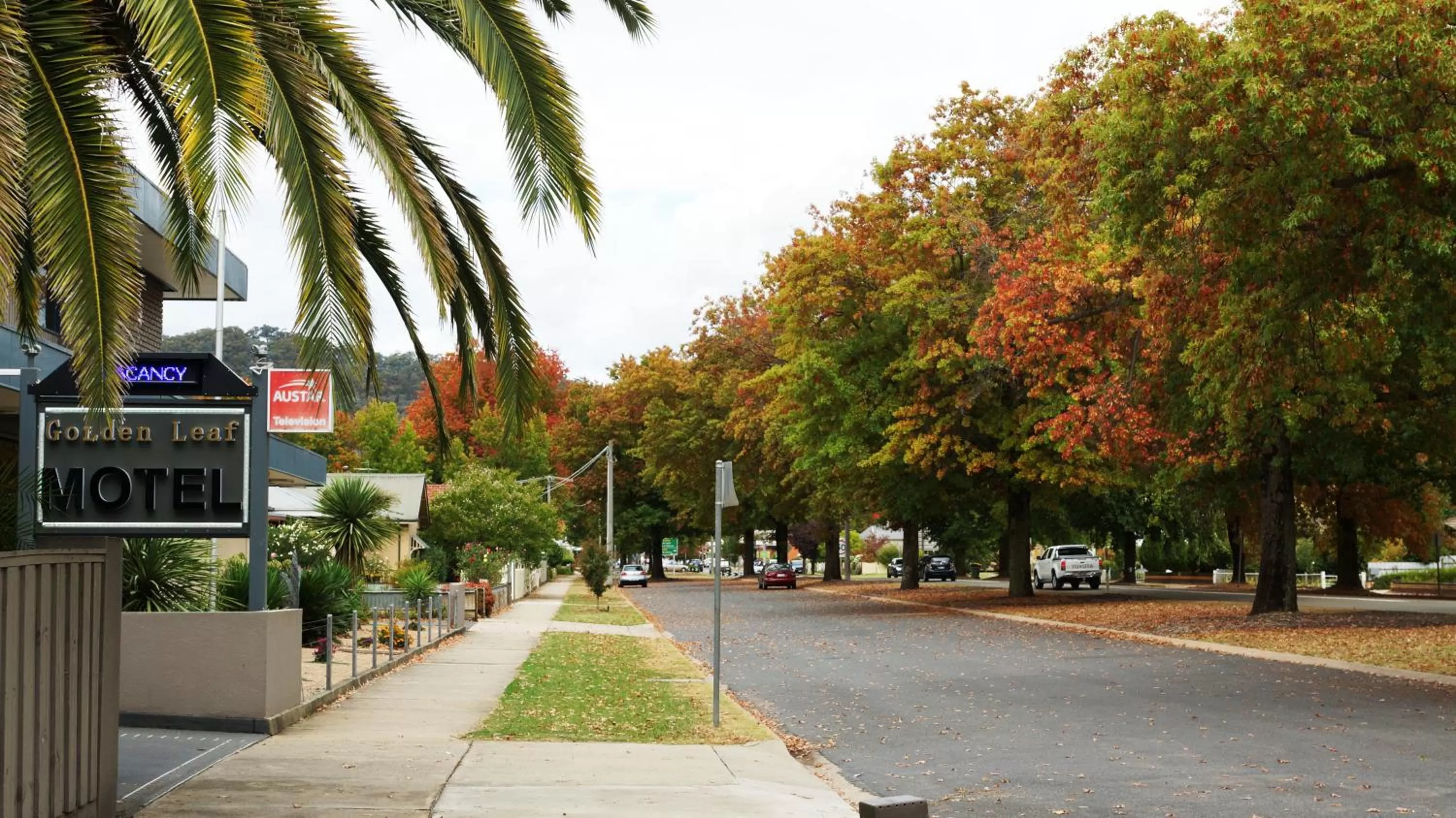 Street view in Golden Leaf Motel