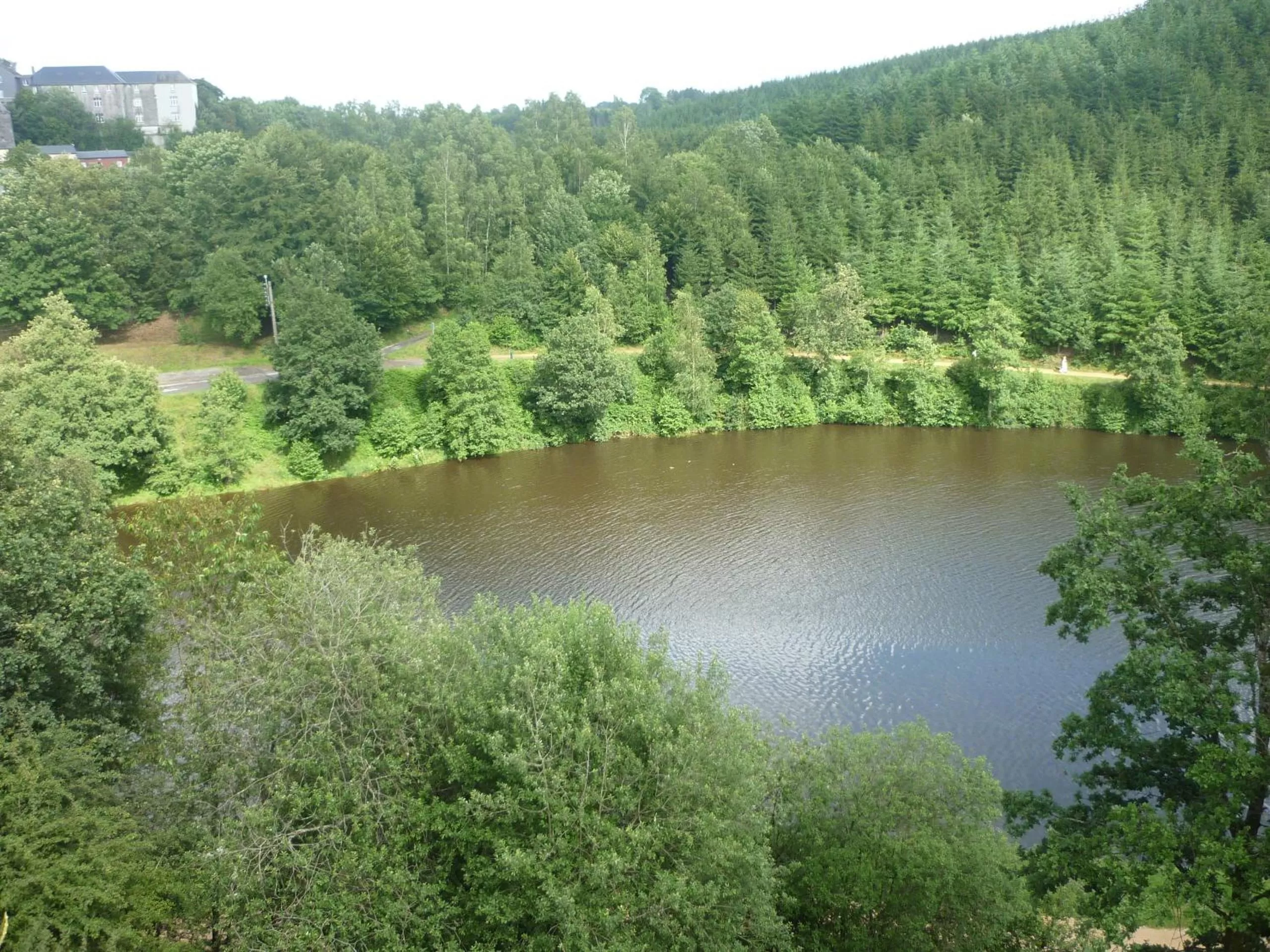 Lake view, Natural Landscape in Hotel Eden Ardenne