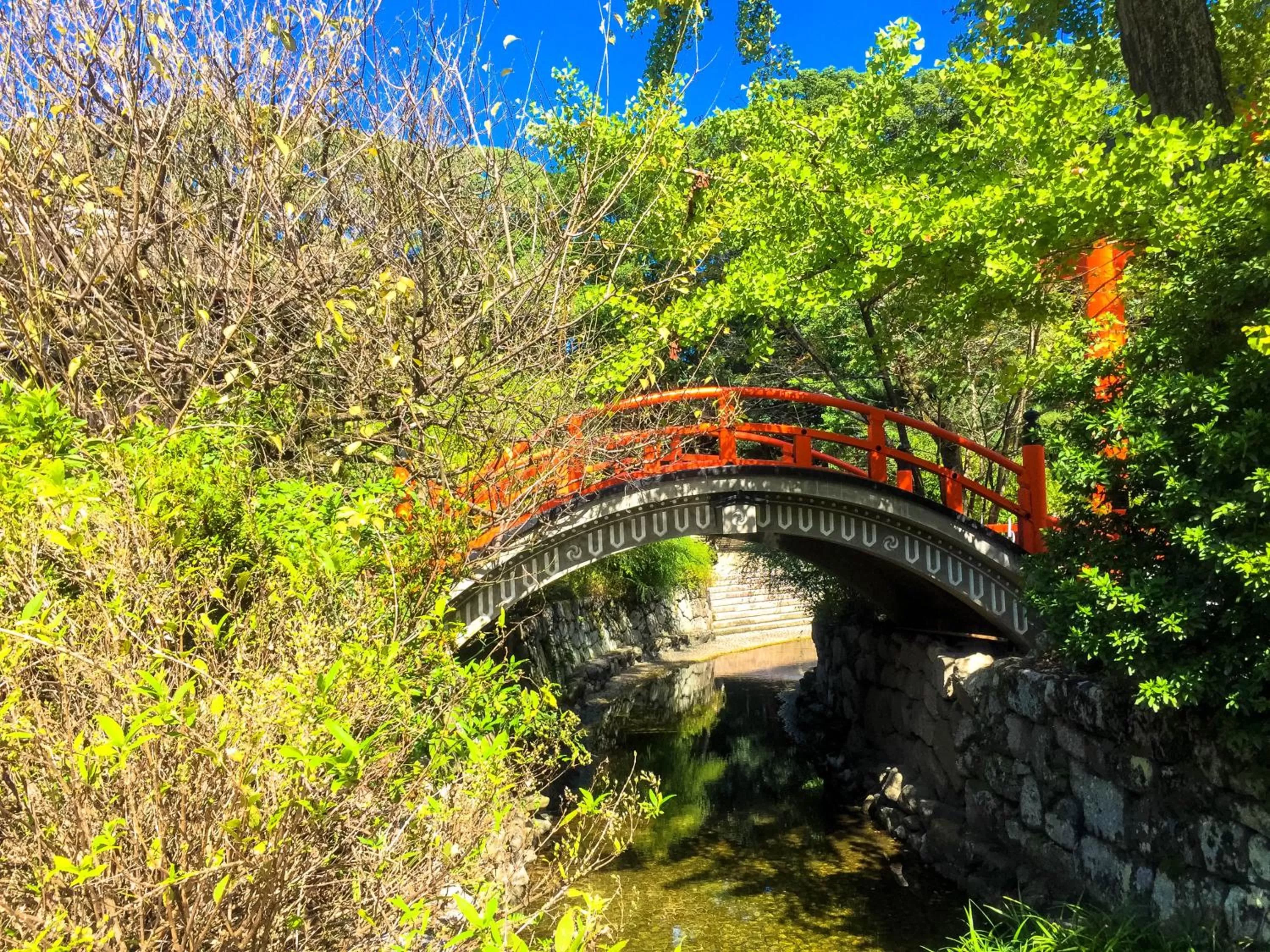 Nearby landmark in Hotel Wing International Kyoto - Shijo Karasuma