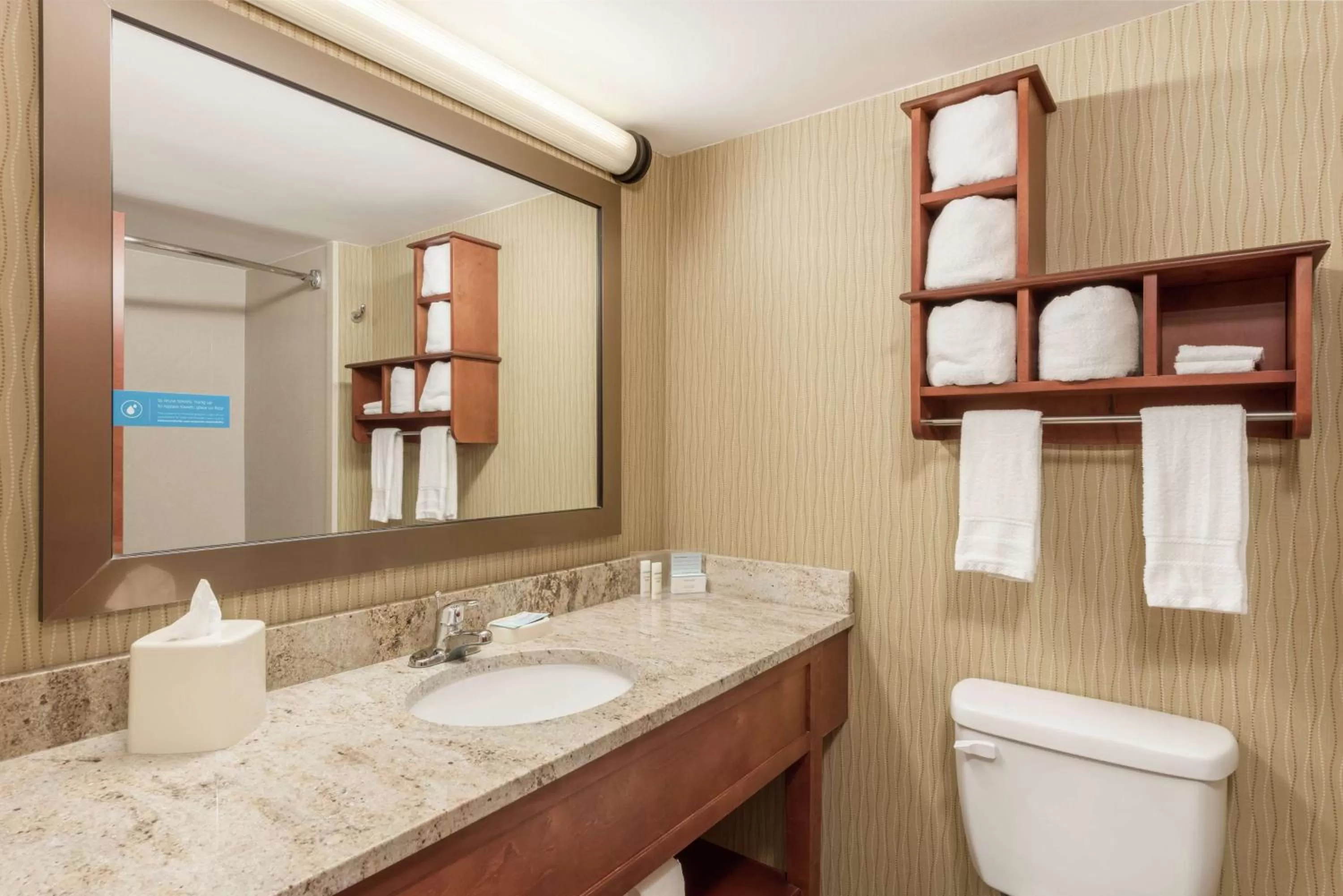 Bathroom in Hampton Inn Branson on the Strip