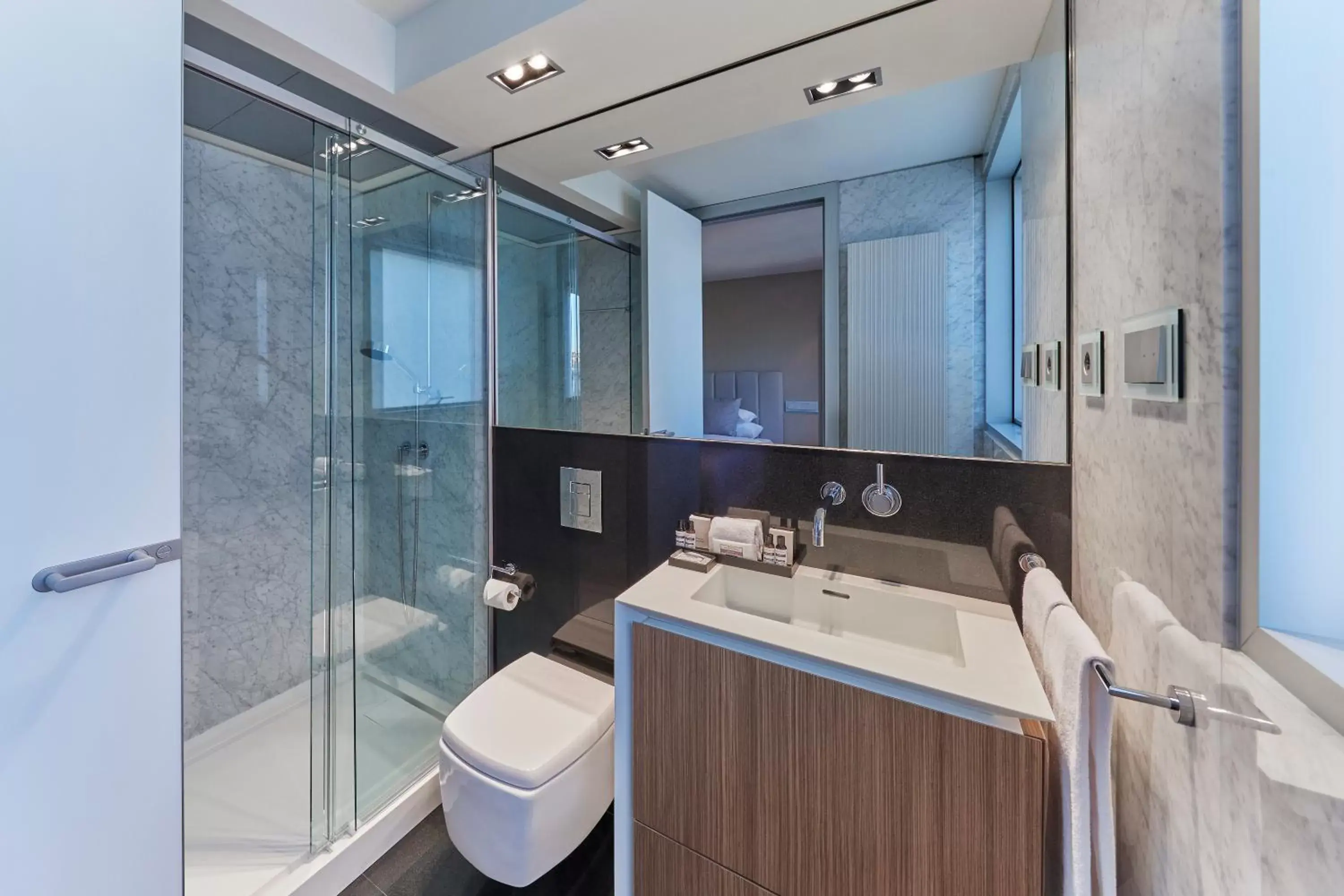 Toilet, Bathroom in Hyatt Regency Madrid Residences