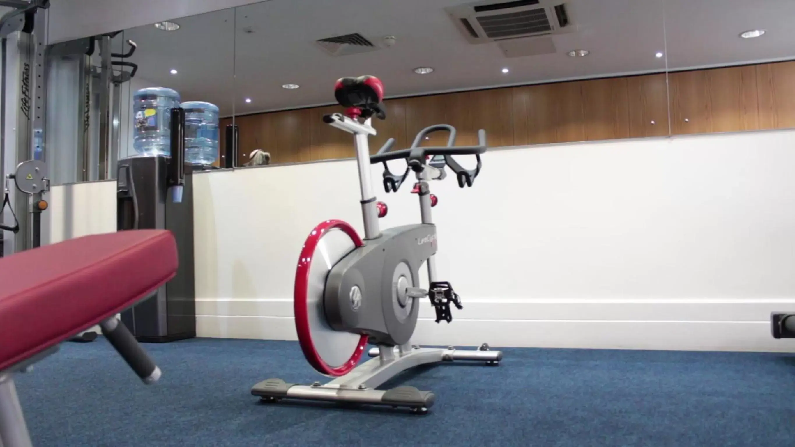 Fitness centre/facilities, Fitness Center/Facilities in Leopold Hotel