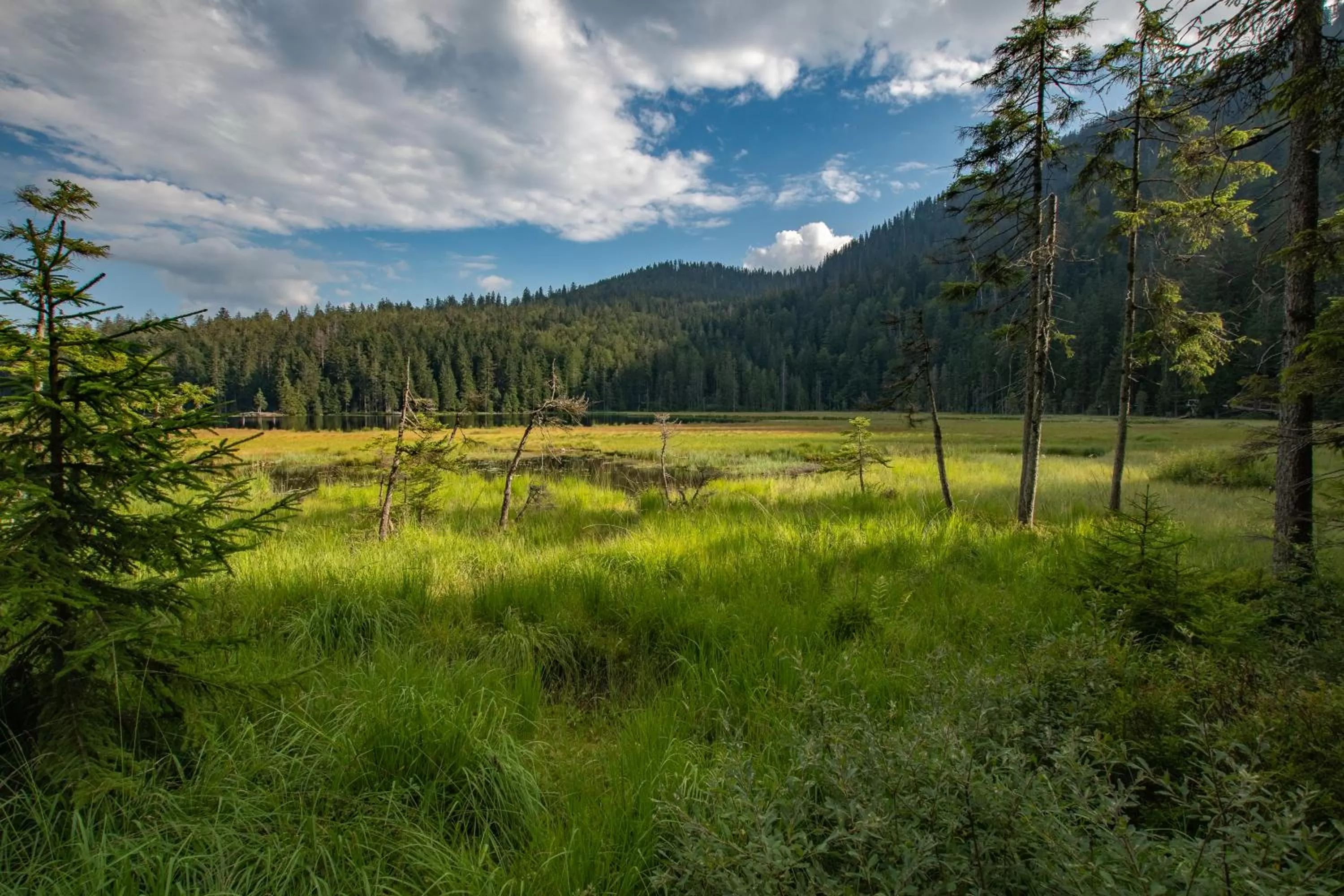 Other in Wander und Aktiv Hotel Rösslwirt