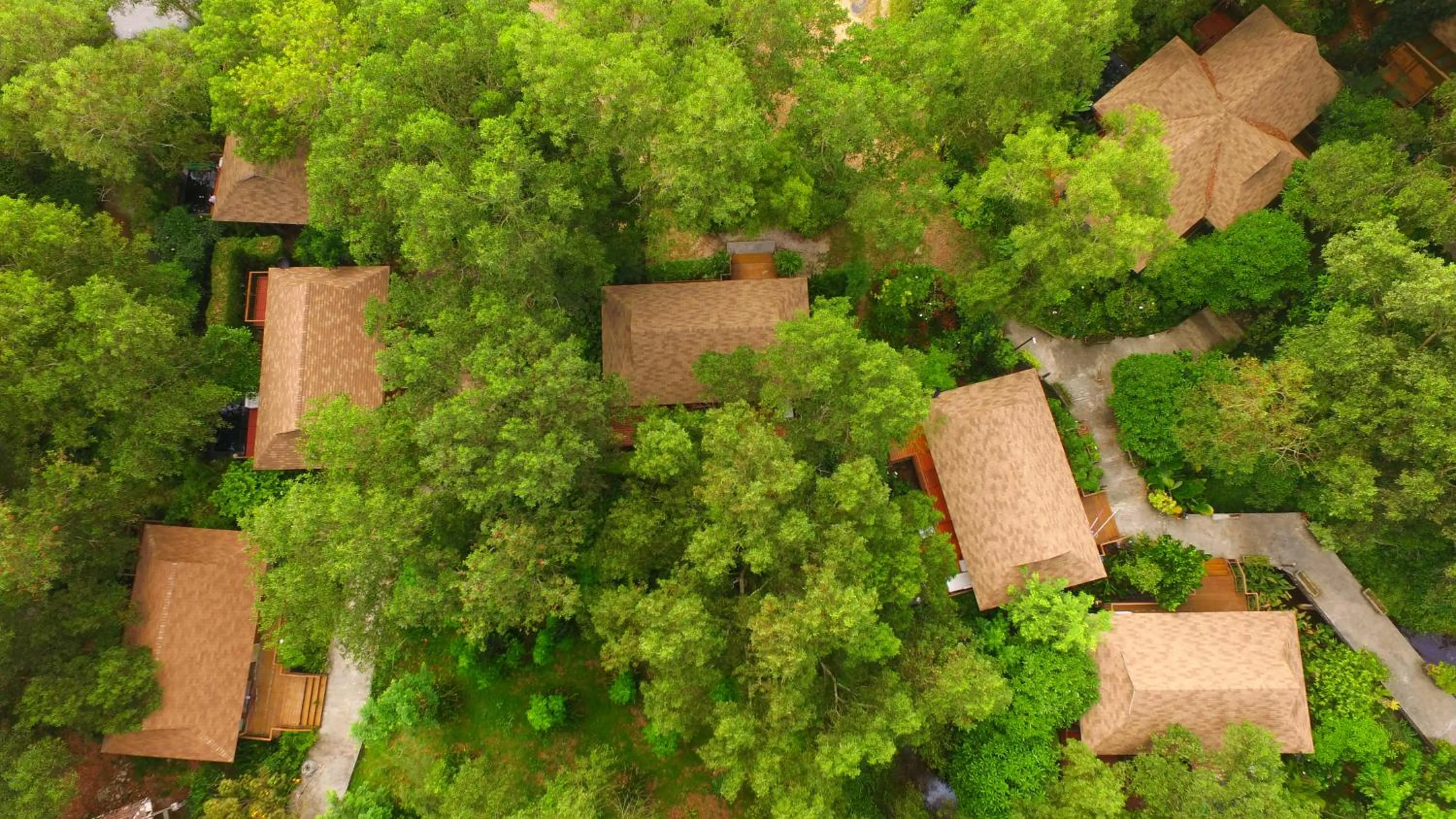 Bird's eye view in The Touch Green Naiyang Hotel & Fitness