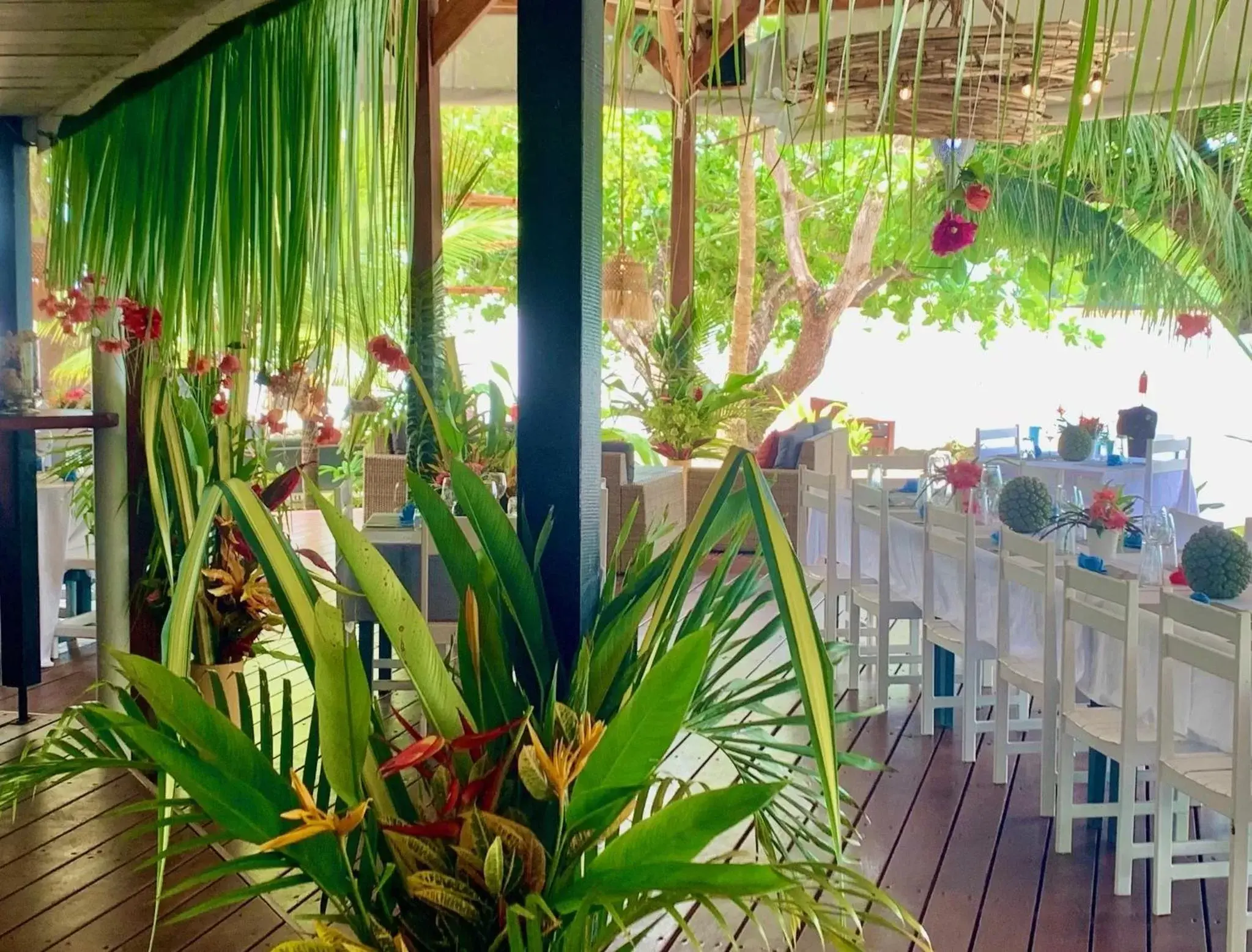 Restaurant/places to eat in Turtle Bay Lodge