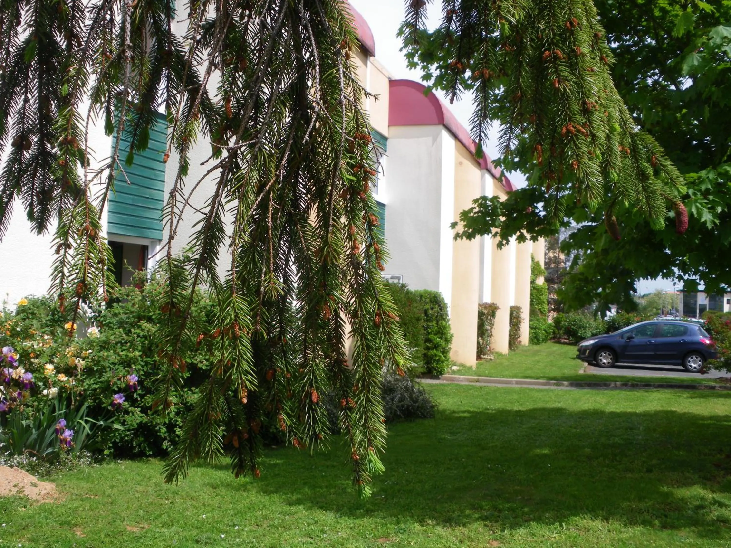 Area and facilities in Contact Hôtel Come Inn