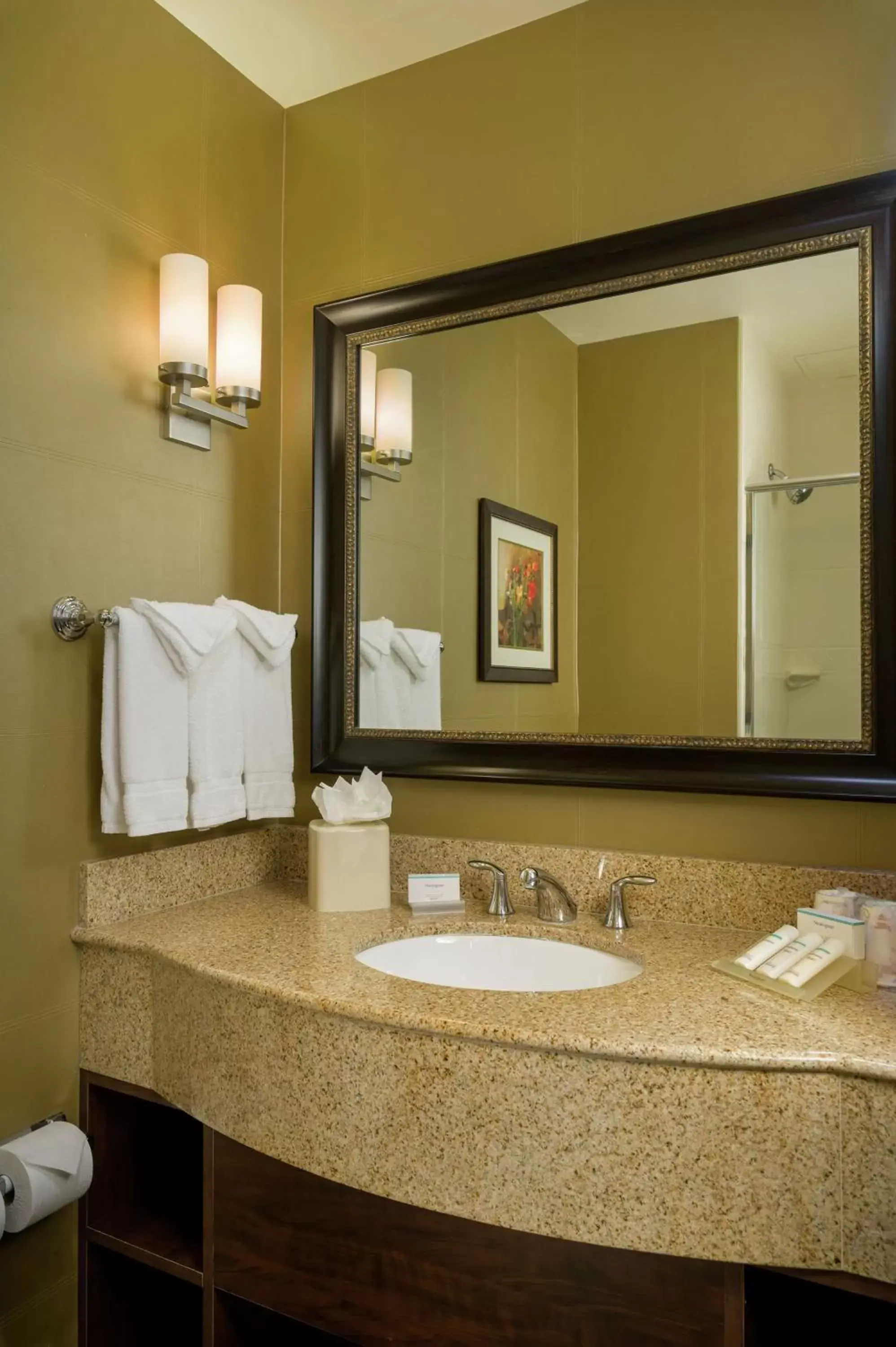 Bathroom in Hilton Garden Inn Phoenix Airport North