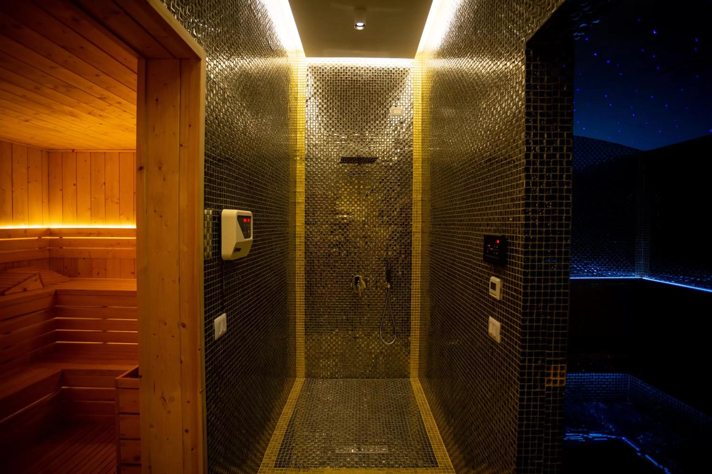 Spa and wellness centre/facilities in Deluxe Resort and SPA