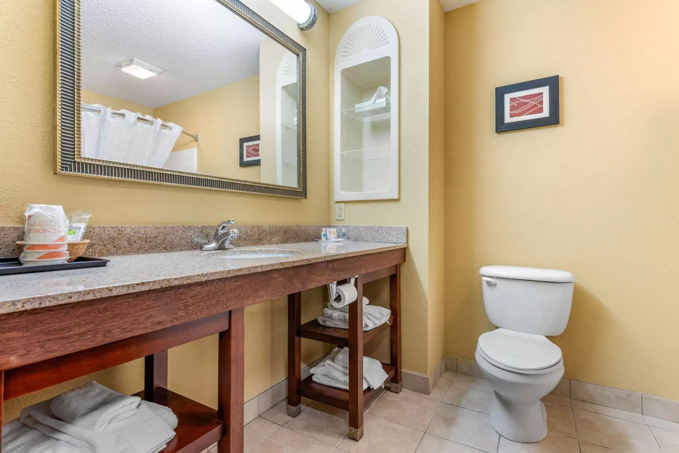 Bathroom in Comfort Suites Findlay I-75