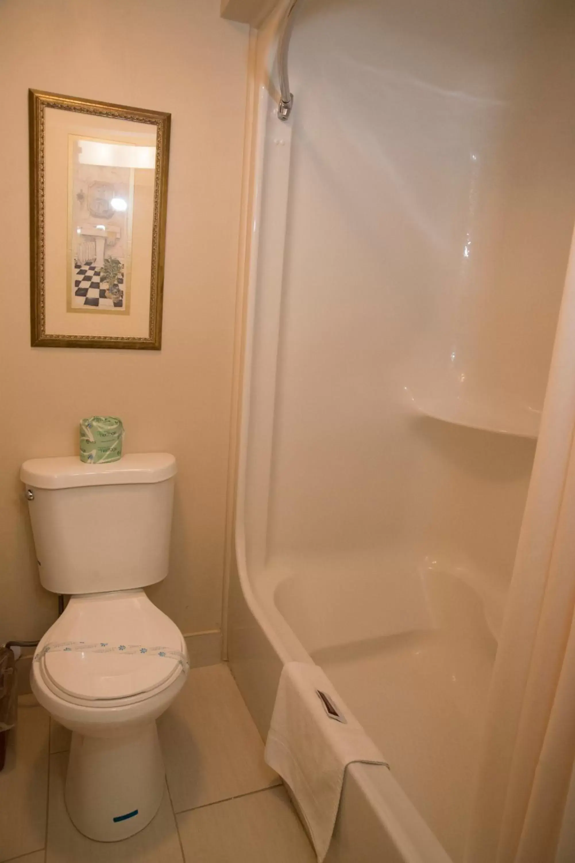 Toilet, Bathroom in Hampton Falls Inn