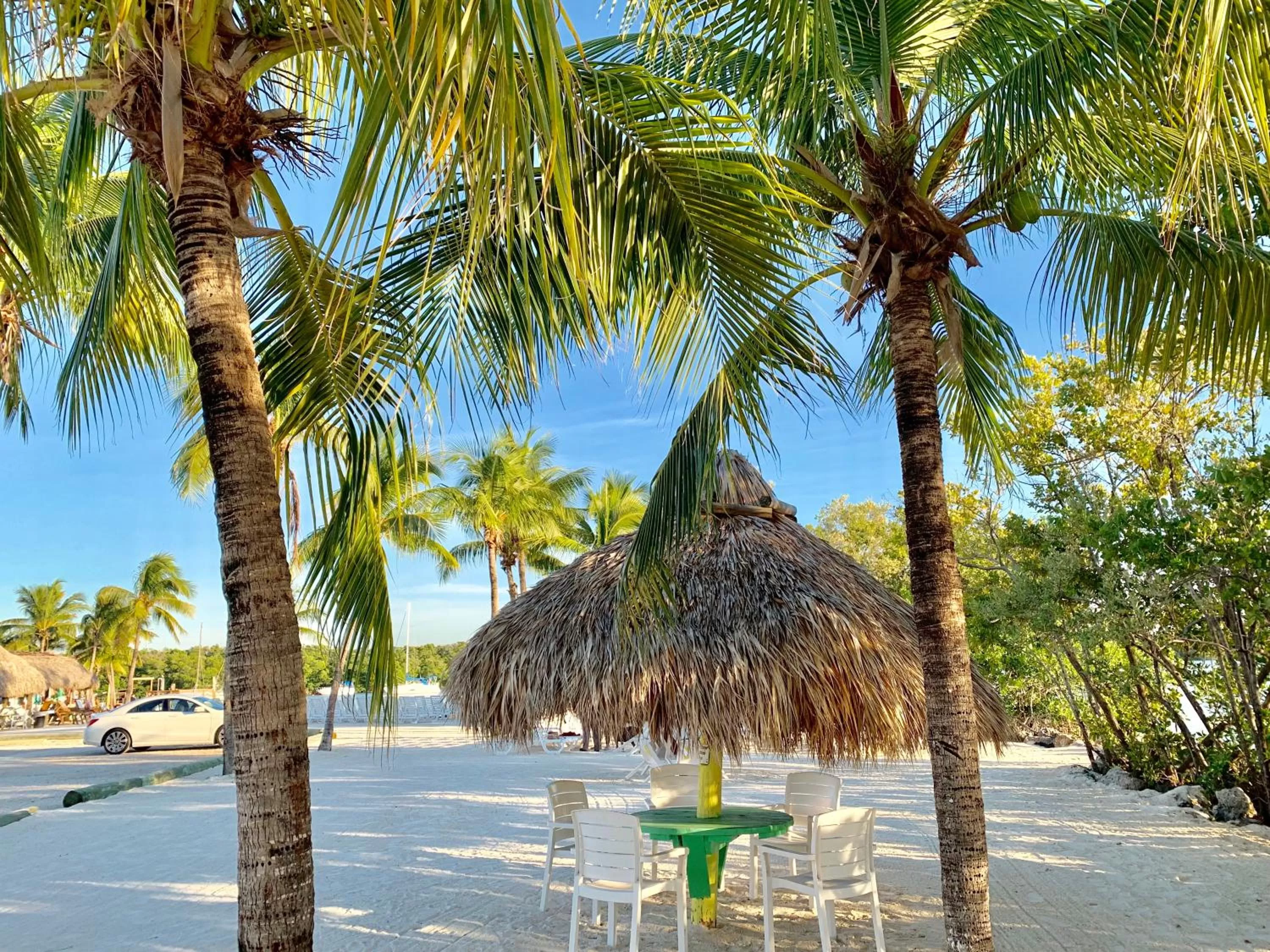 Natural landscape in Gilbert's Resort