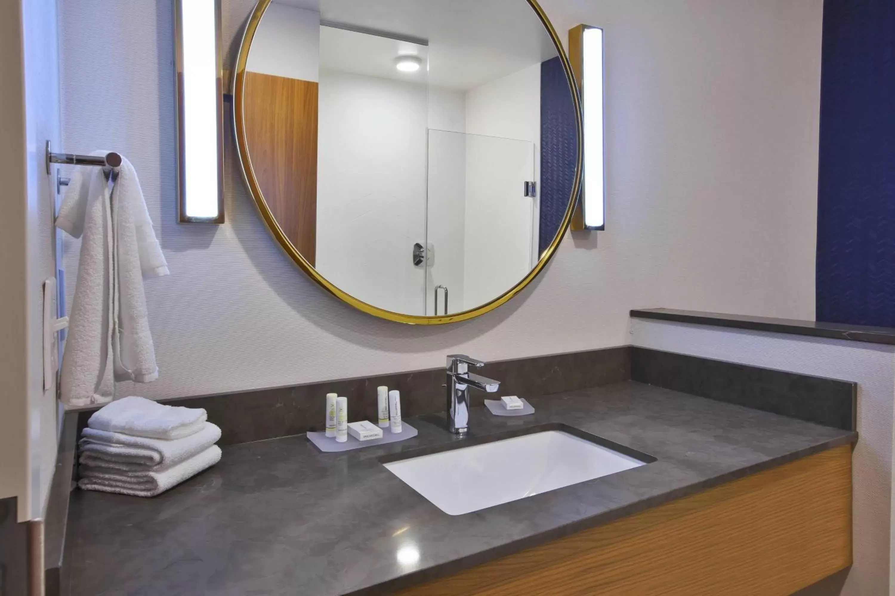 Bathroom in Fairfield Inn & Suites by Marriott Flint Grand Blanc