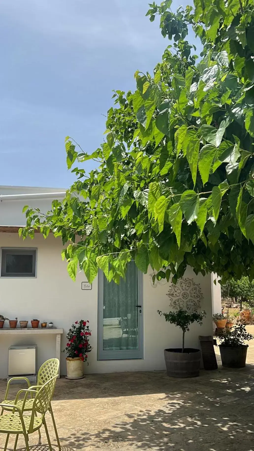 Patio in Trullo Santangelo