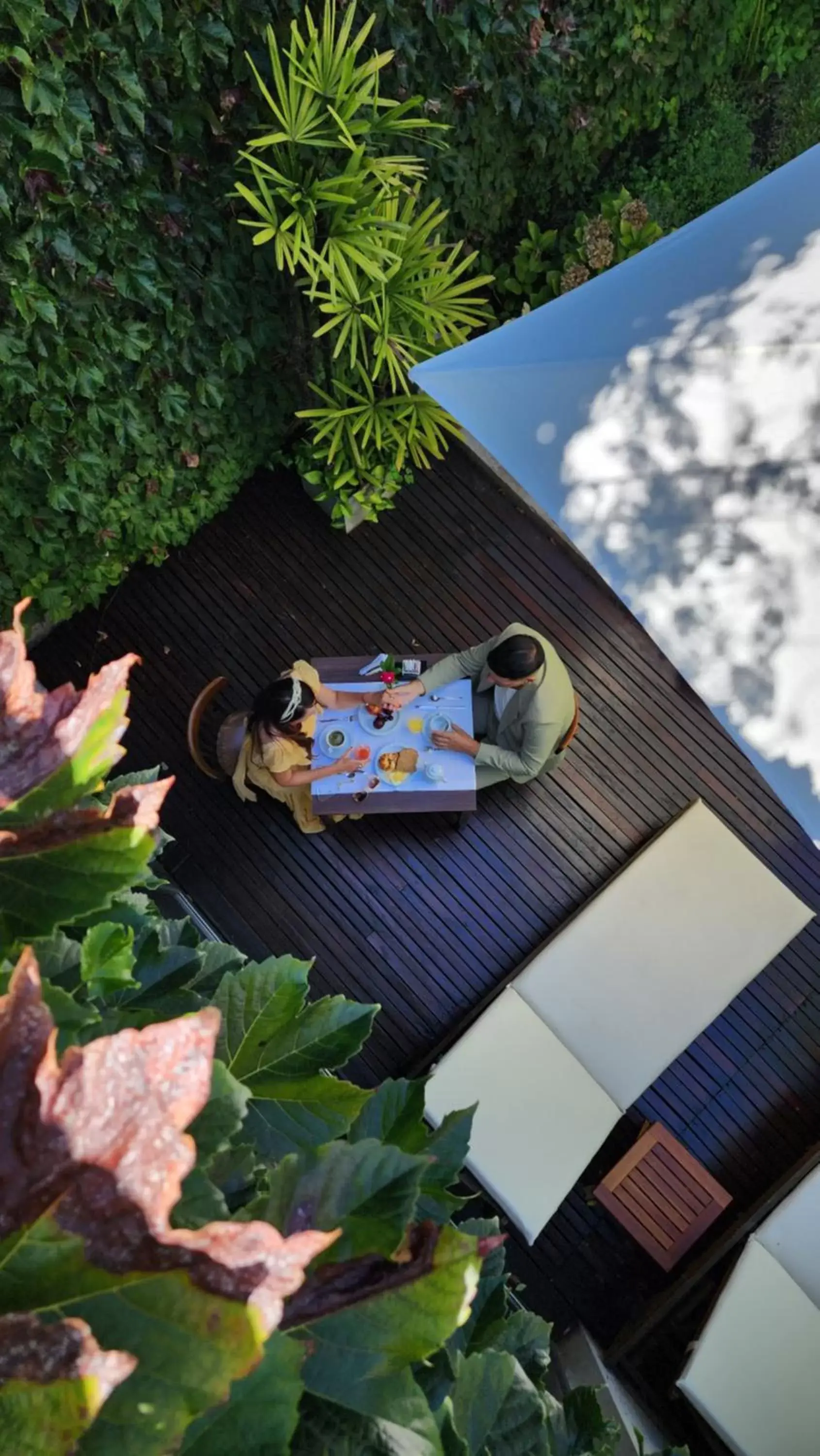 Garden view in 248 Finisterra Garden view in 248 Finisterra