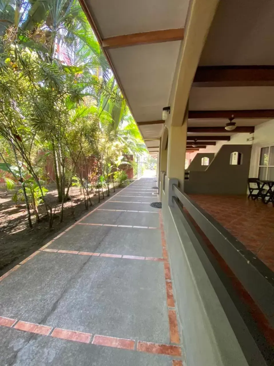 Balcony/Terrace in Hotel Playa Westfalia