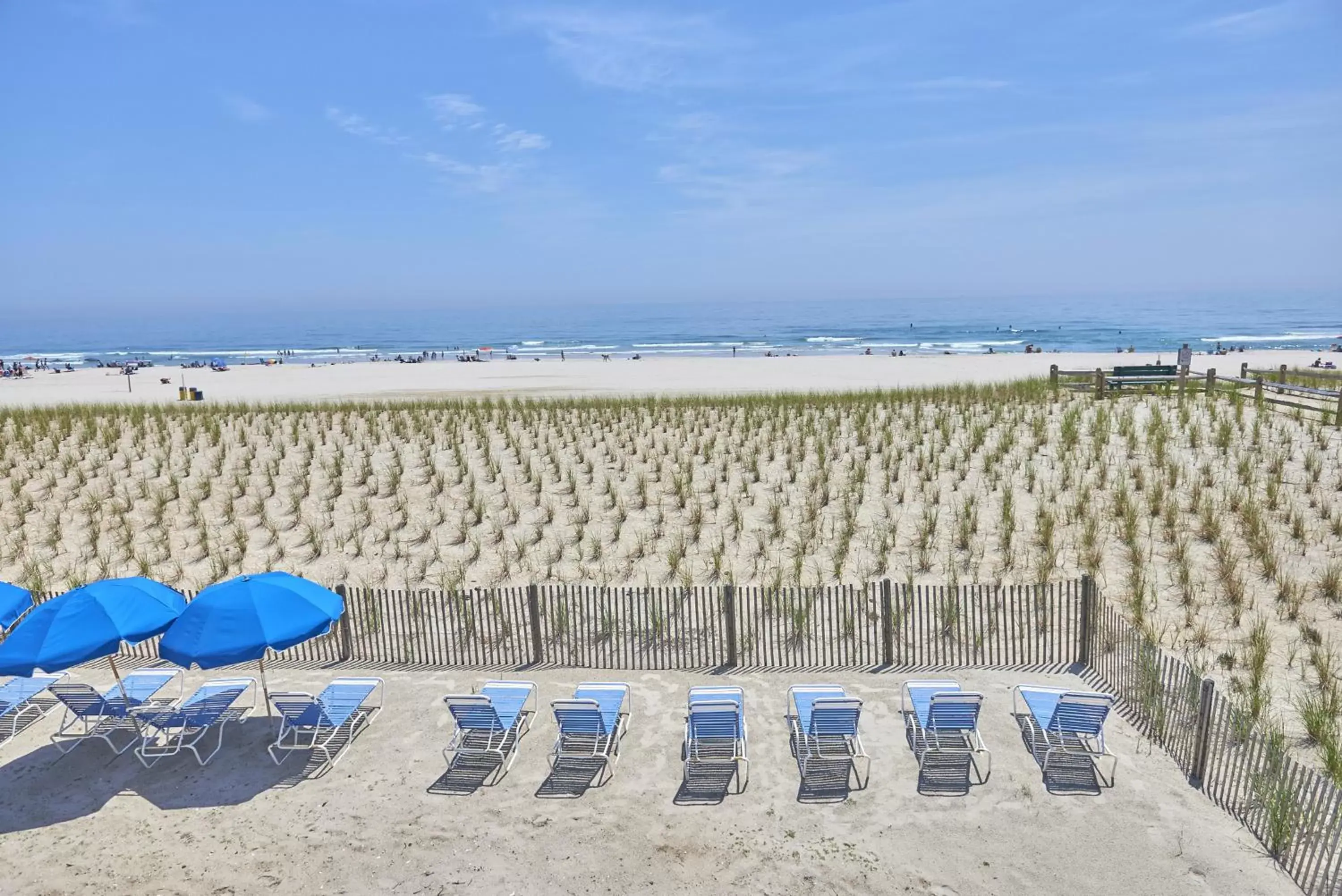 Natural landscape, Beach in Drifting Sands Oceanfront Hotel