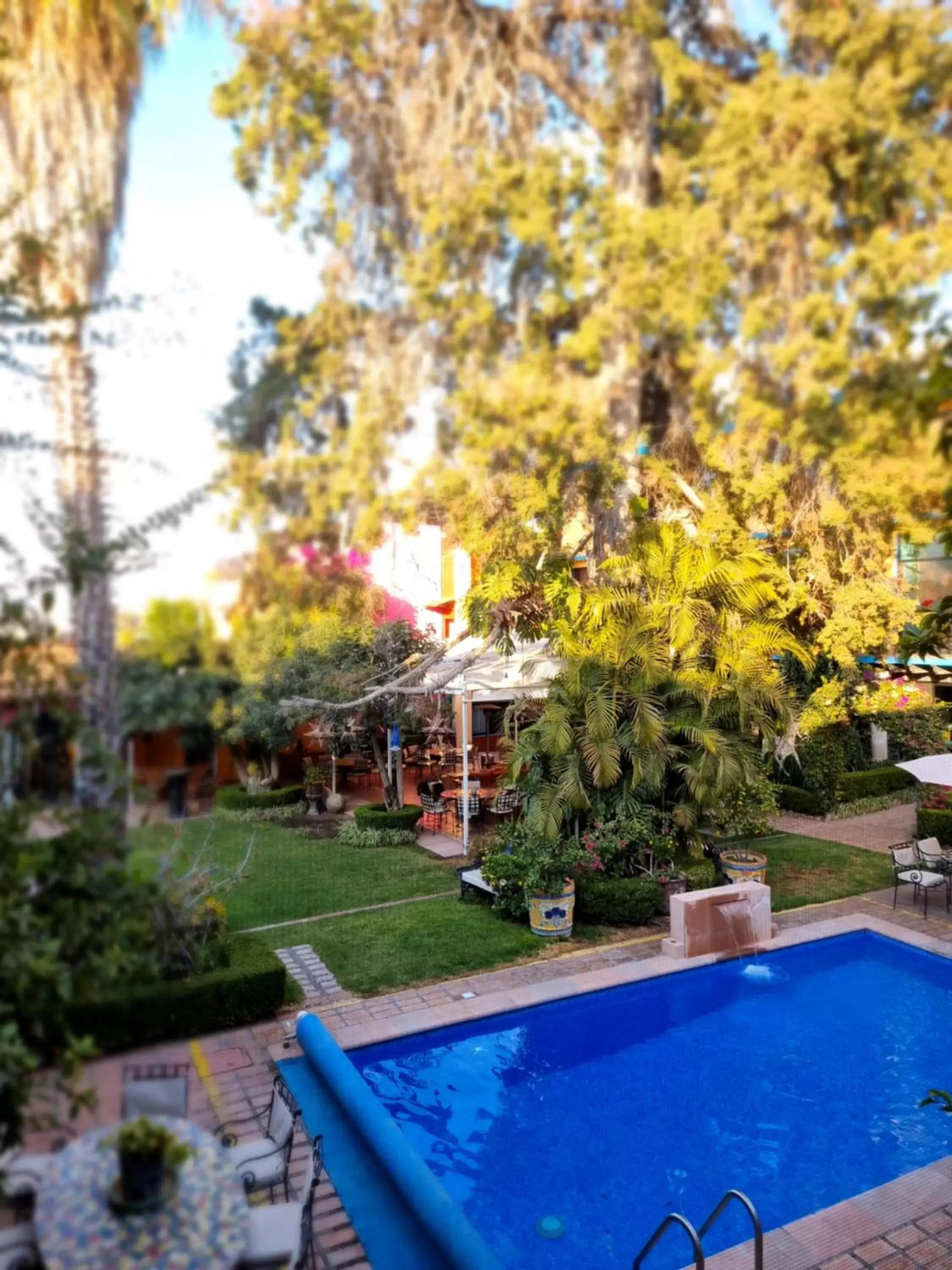Pool view, Swimming Pool in Hacienda de las Flores