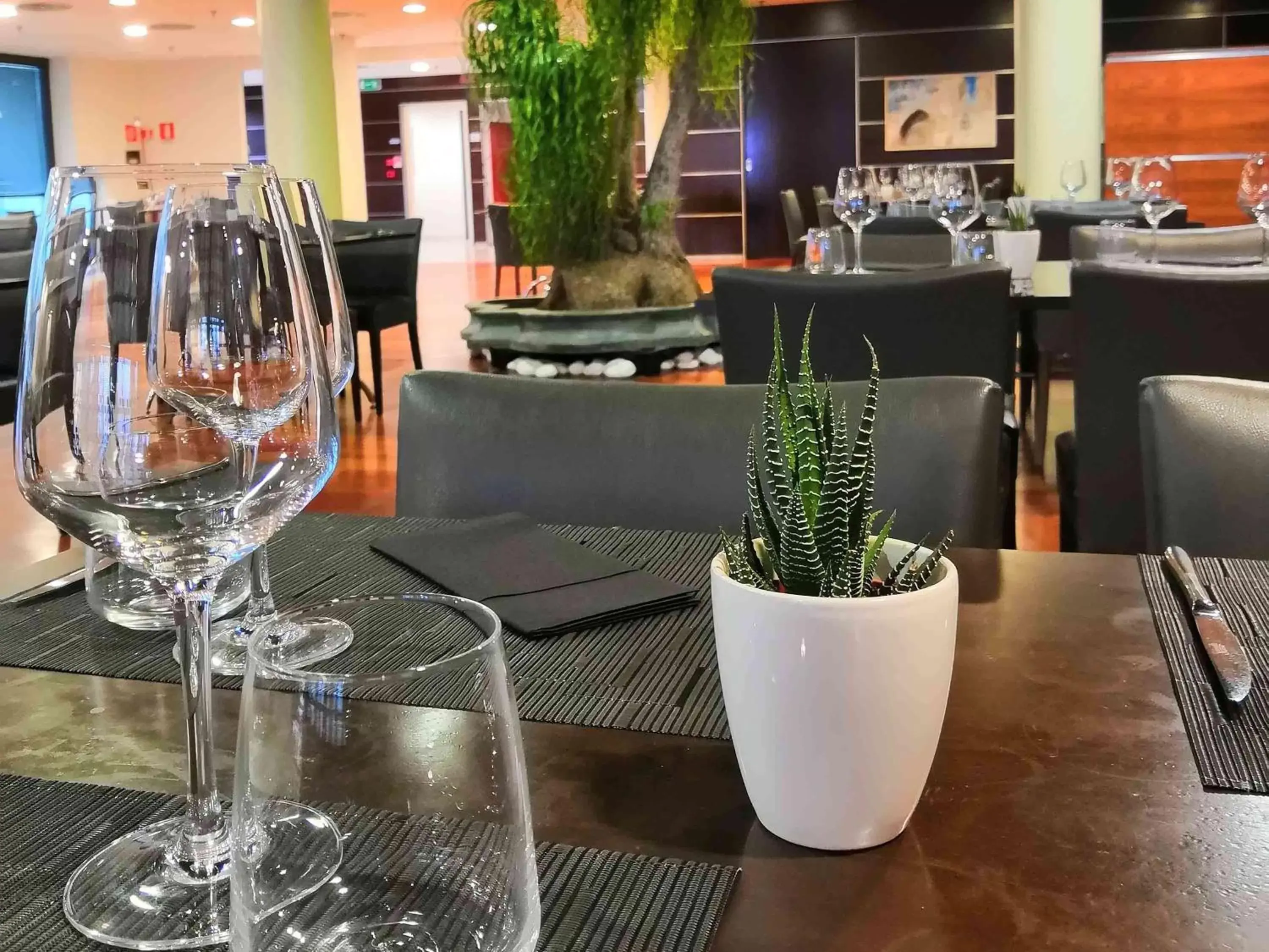 Restaurant/places to eat in Mercure Leonardo da Vinci Rome Airport