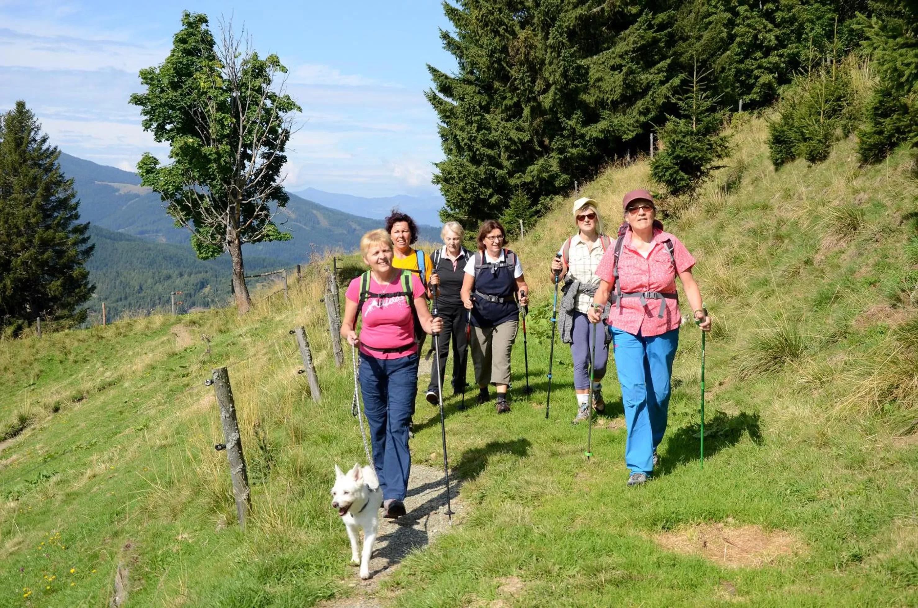 Spring in Motel Zeltweg - Self-Check-in