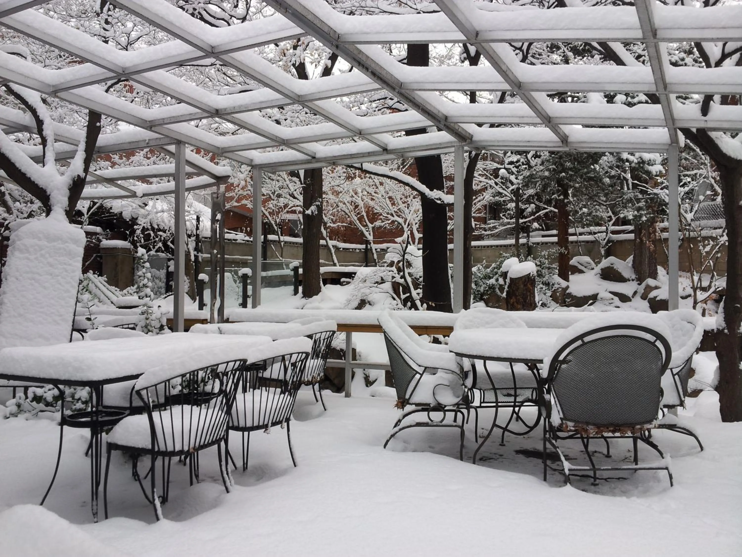 Garden in Jiwoljang Guesthouse