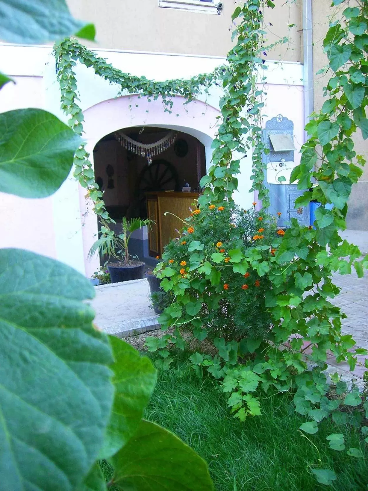 Facade/entrance in Jahongir