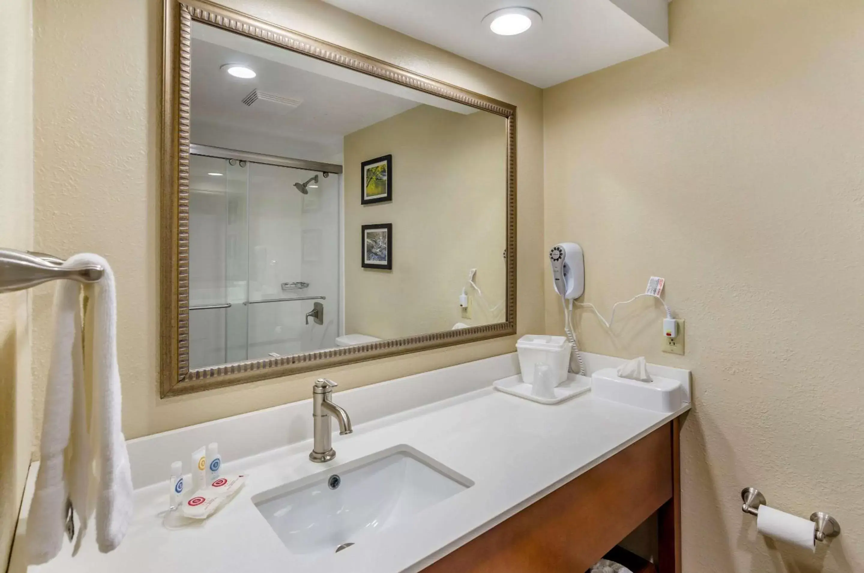 Photo of the whole room, Bathroom in Comfort Inn Waynesboro