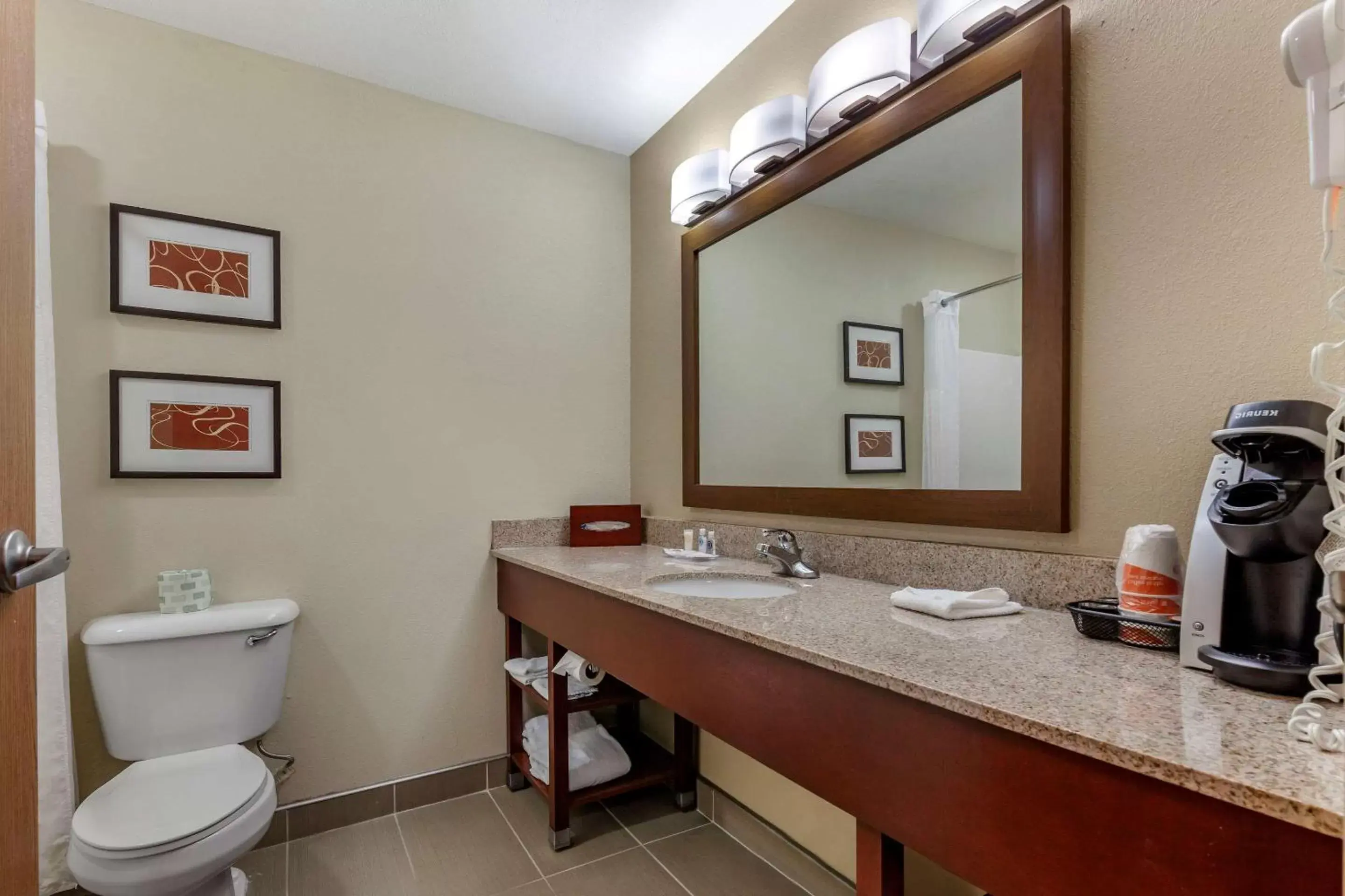 Photo of the whole room, Bathroom in Comfort Suites Delavan - Lake Geneva Area