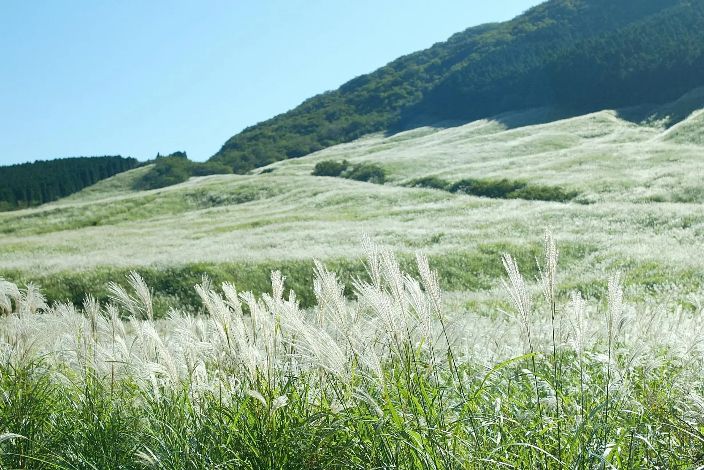 Nearby landmark, Natural Landscape in Hakone Highland Hotel