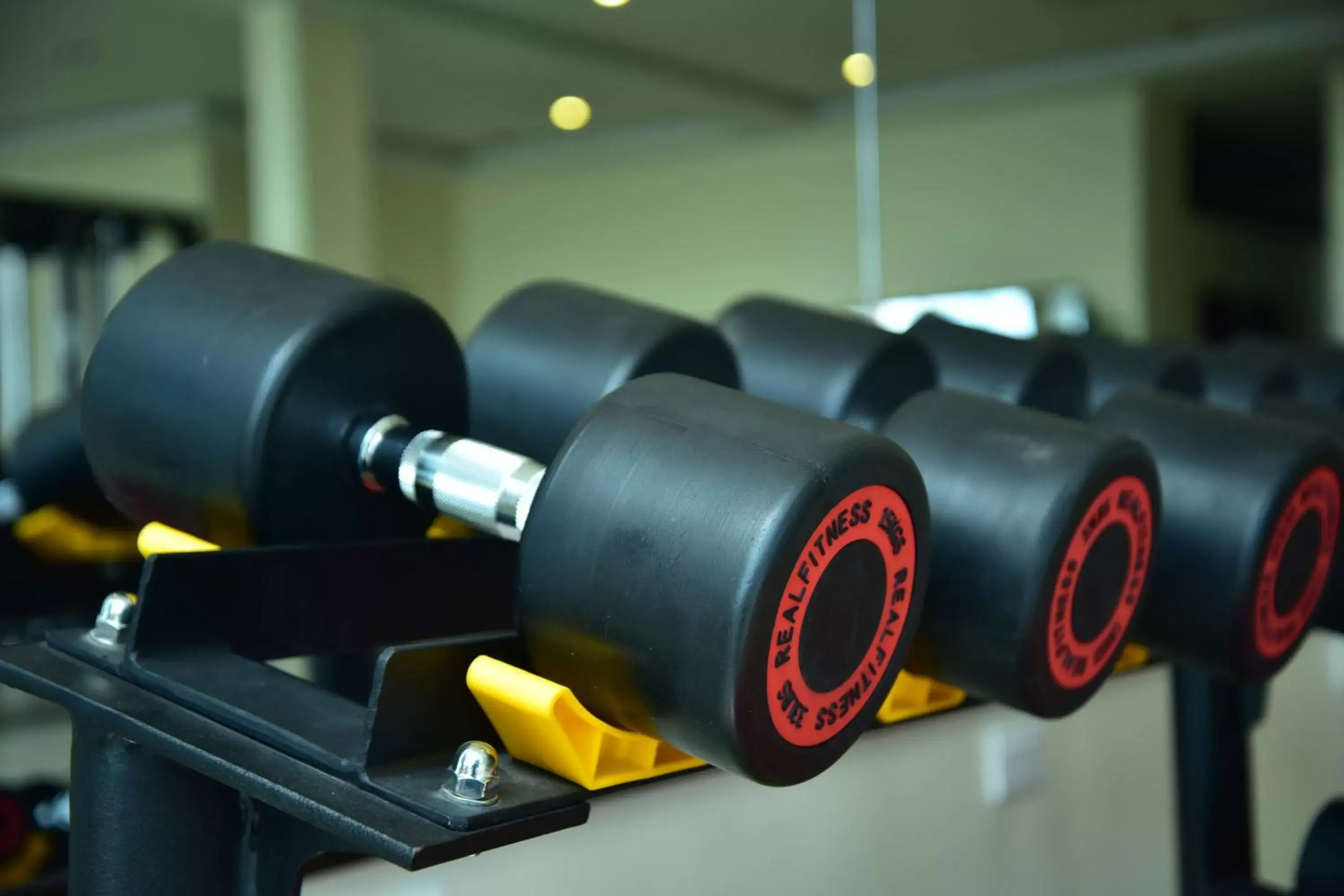 Fitness centre/facilities, Fitness Center/Facilities in Hotel Blue Sapphire