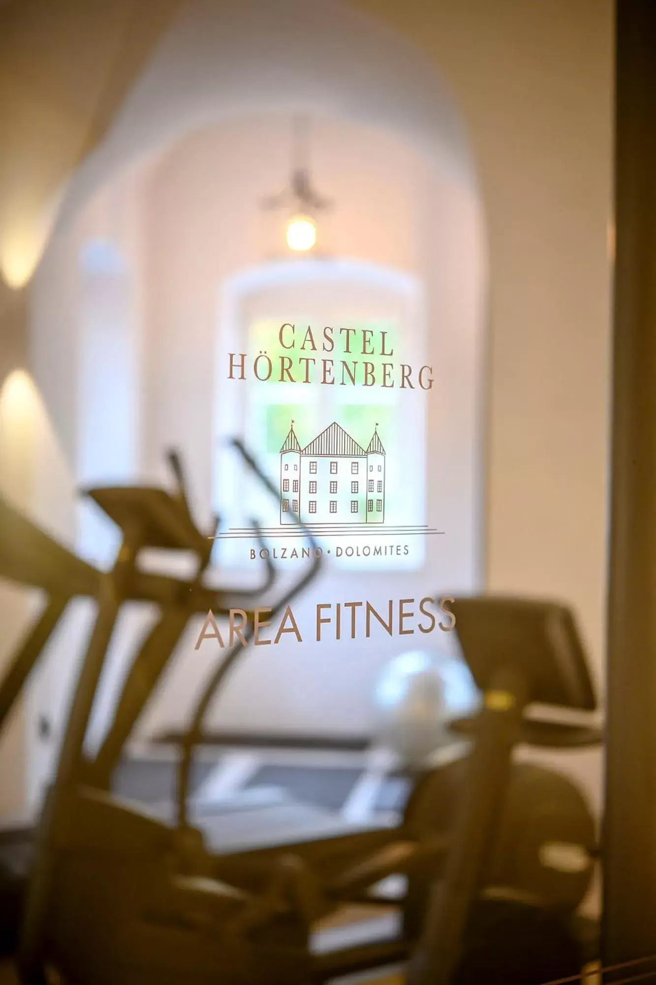 Fitness centre/facilities in Castel Hörtenberg