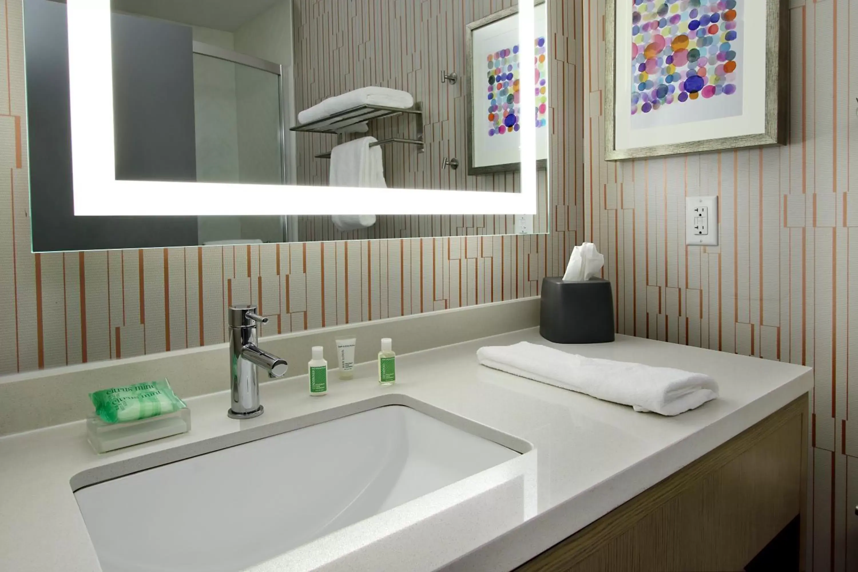 Bathroom in Holiday Inn Hattiesburg - North, an IHG Hotel