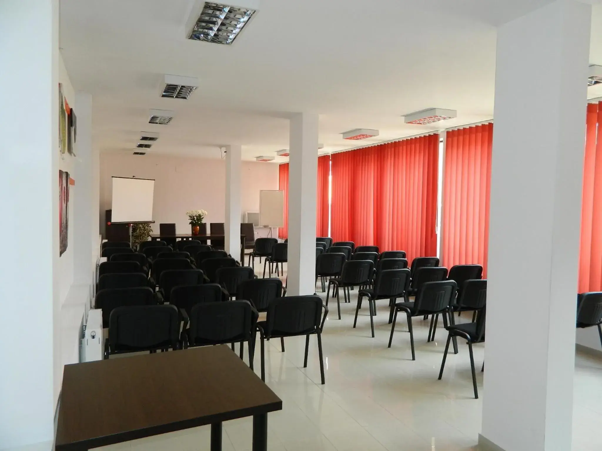 Business facilities in Hotel Razvan