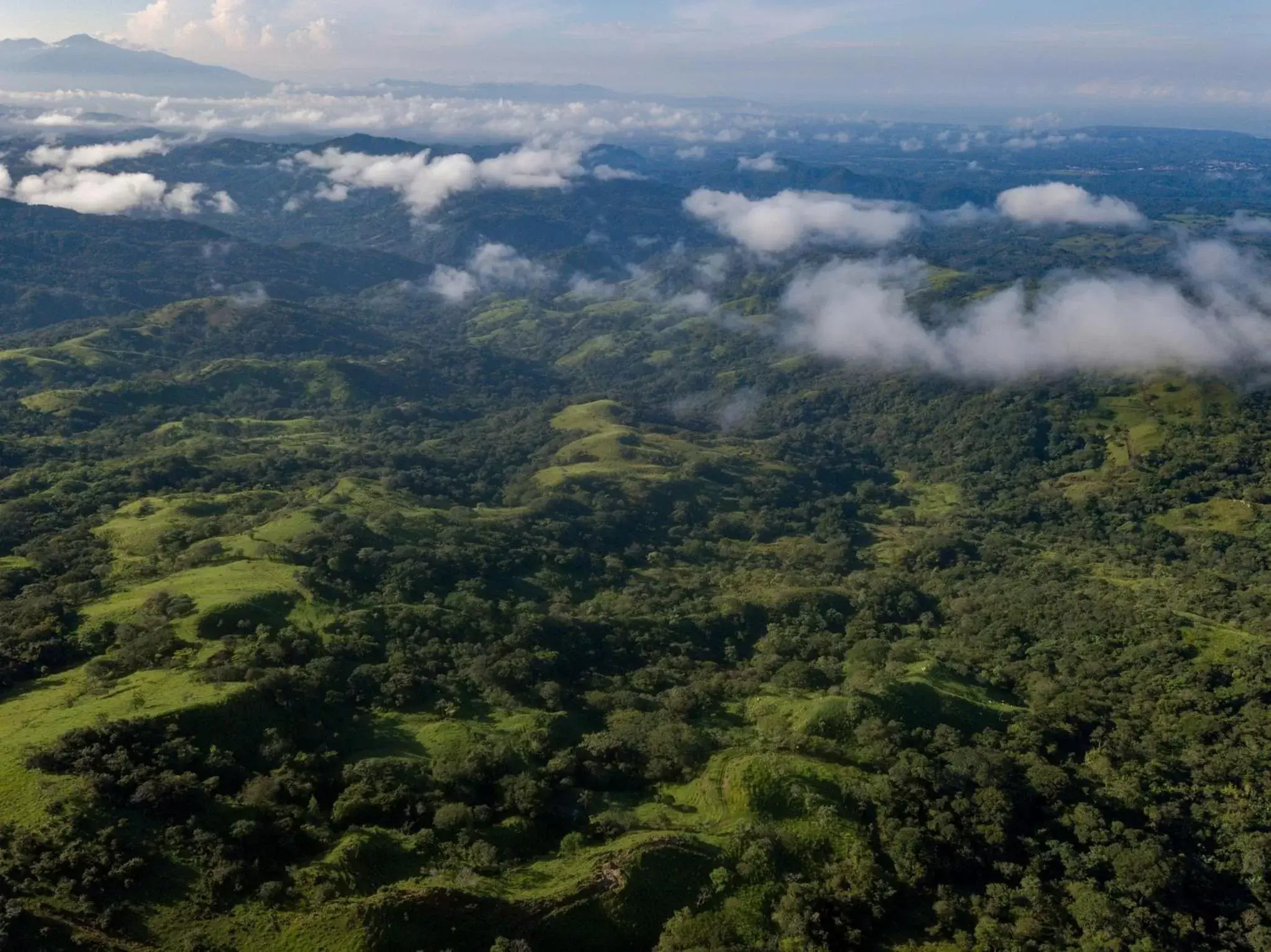 Natural landscape, Bird's-eye View in Vida Mountain Resort & Spa