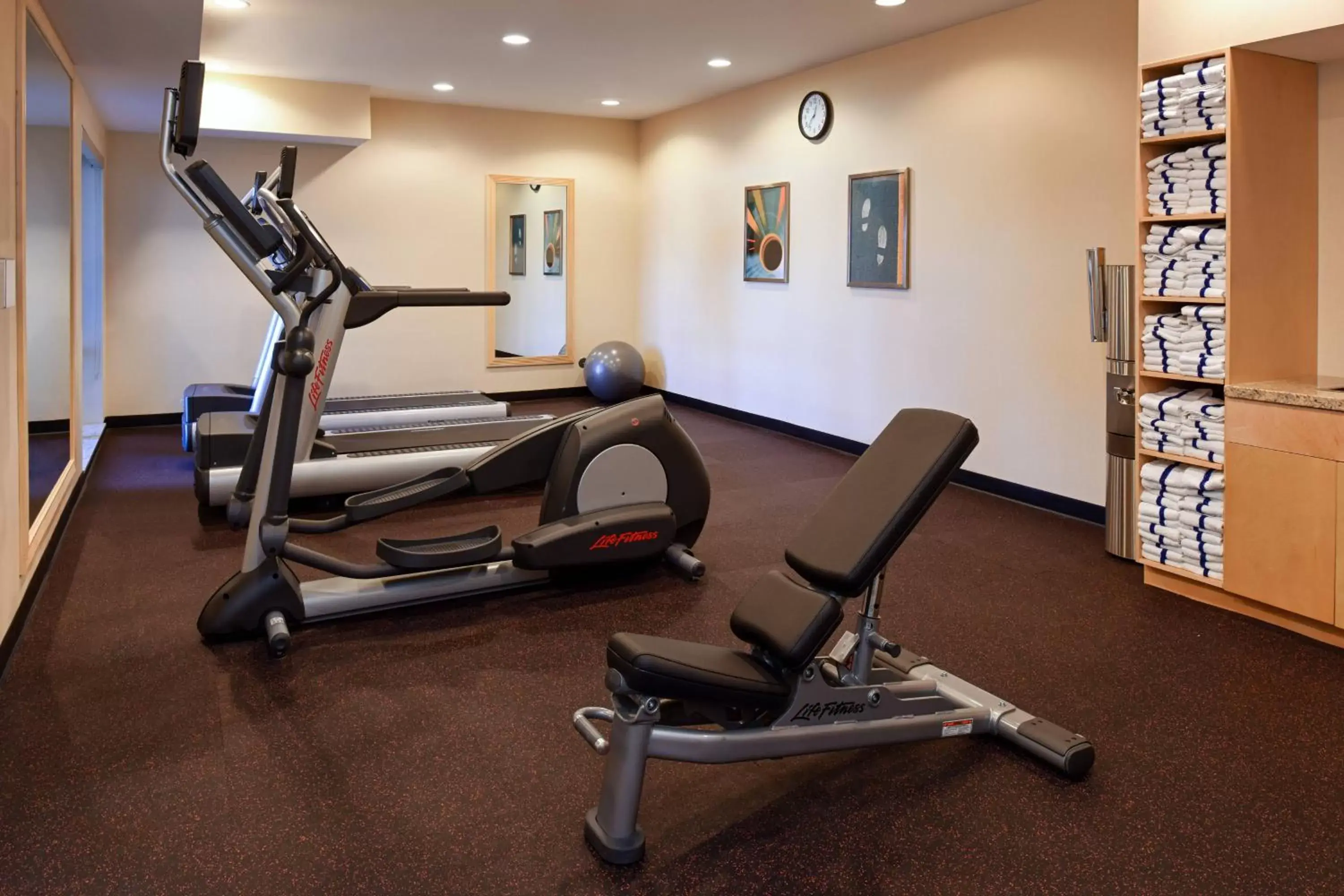 Fitness centre/facilities, Fitness Center/Facilities in TownePlace by Marriott Suites Detroit Auburn Hills
