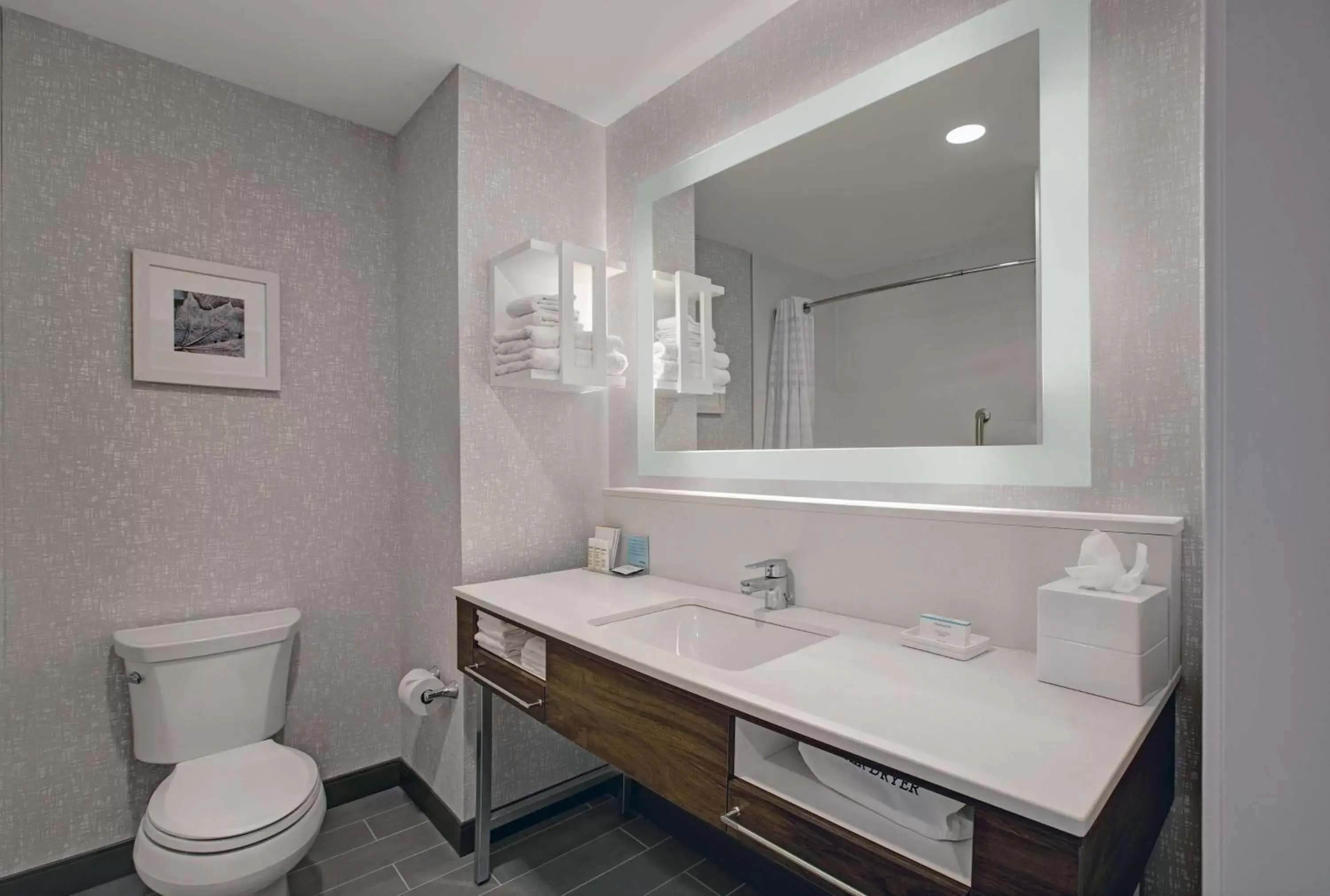 Bathroom in Hampton Inn & Suites By Hilton Waterloo St. Jacobs