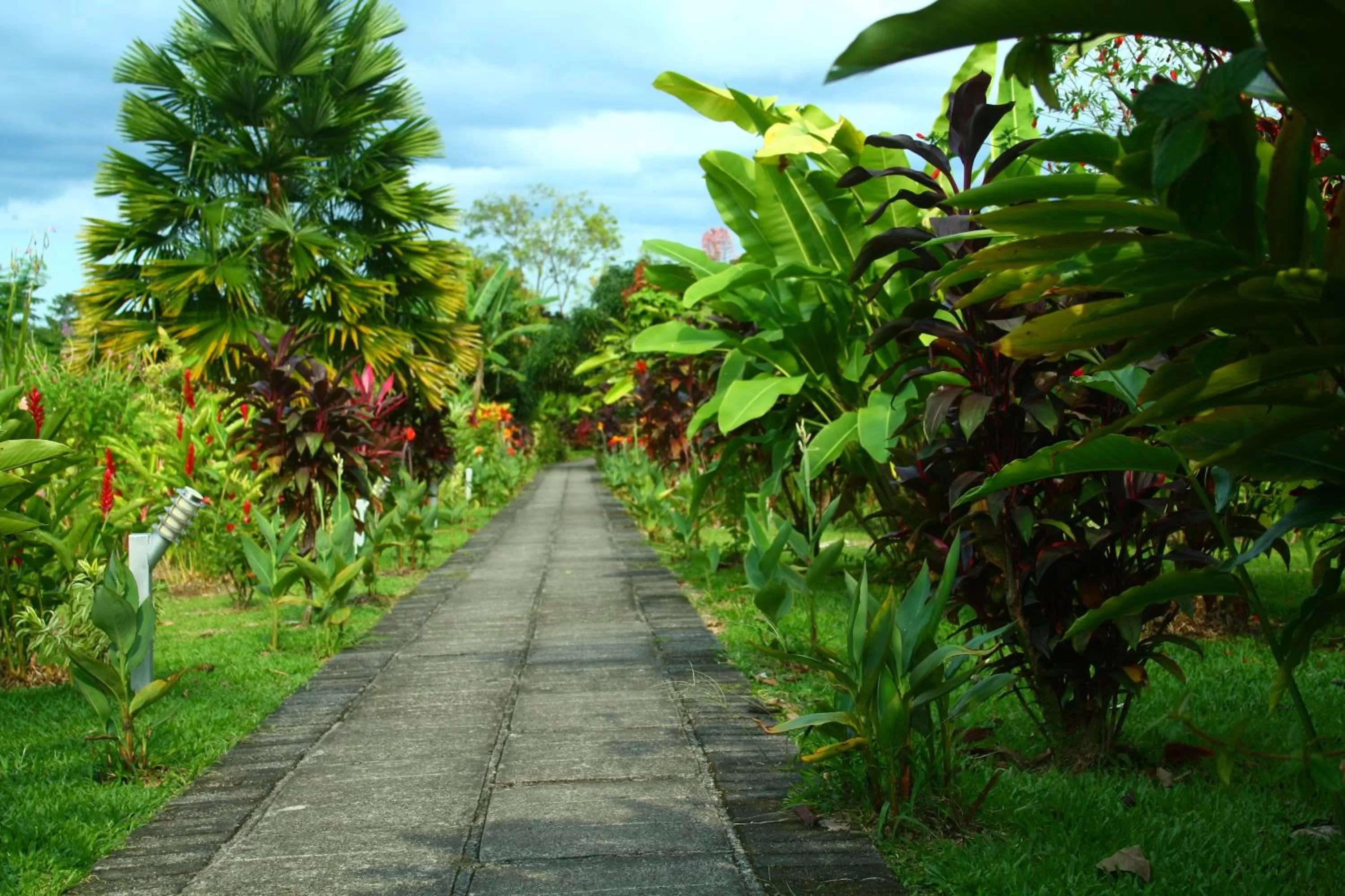 Garden in Volcano Lodge, Hotel & Thermal Experience