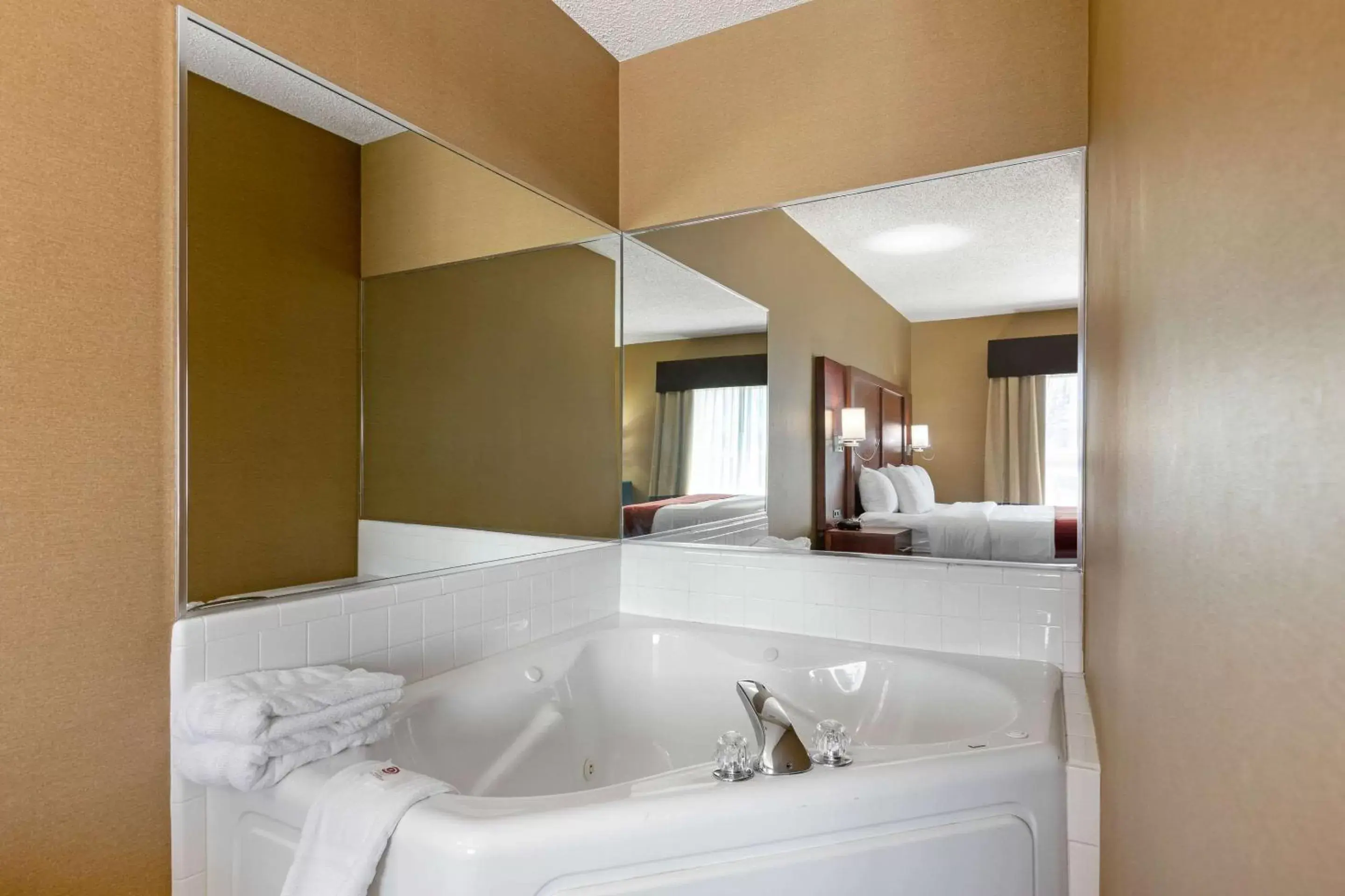Photo of the whole room, Bathroom in Comfort Suites Southfield