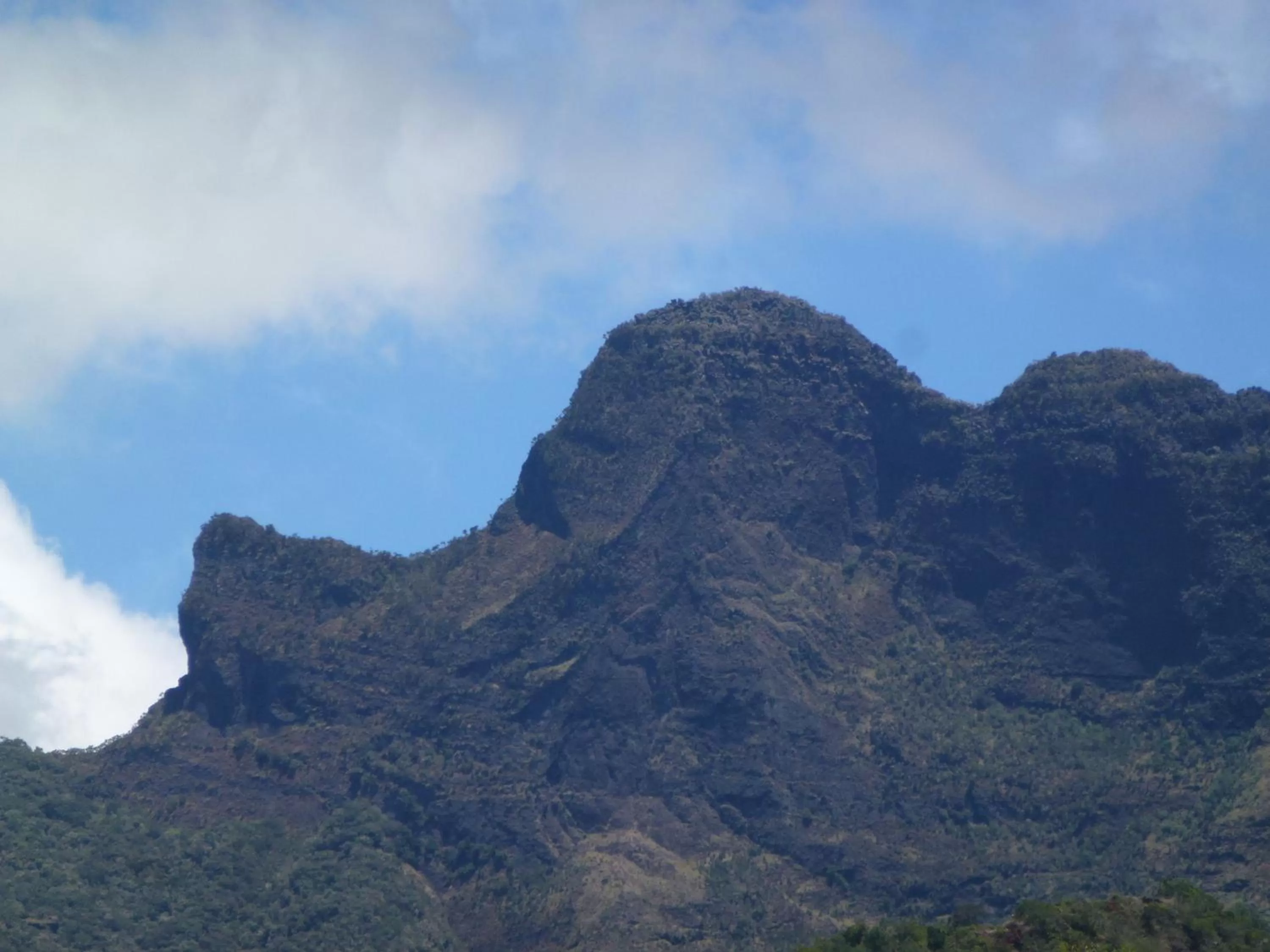 Natural landscape in Hotel Des Neiges