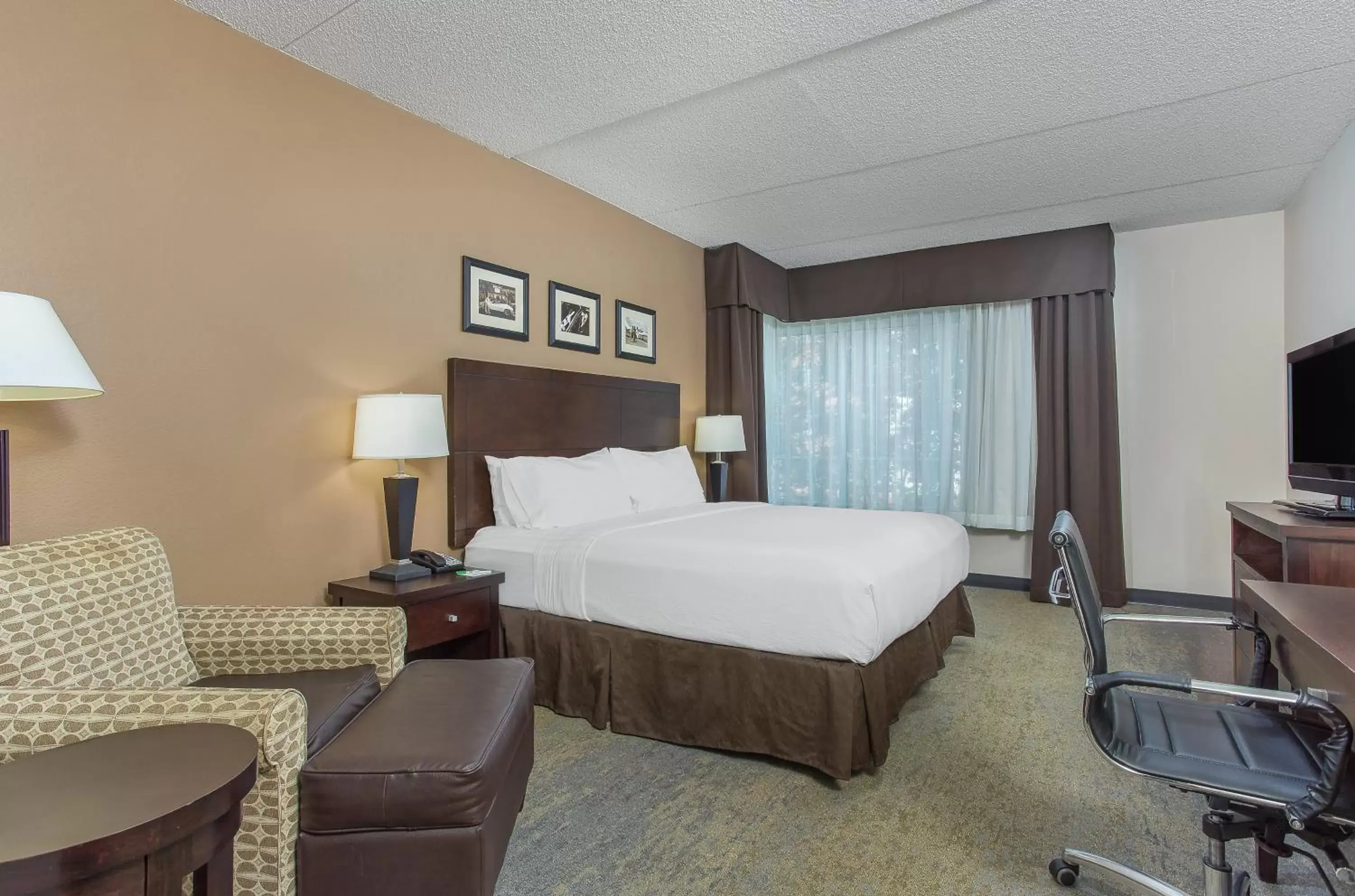 Photo of the whole room, Bed in Holiday Inn Louisville Airport - Fair/Expo, an IHG Hotel