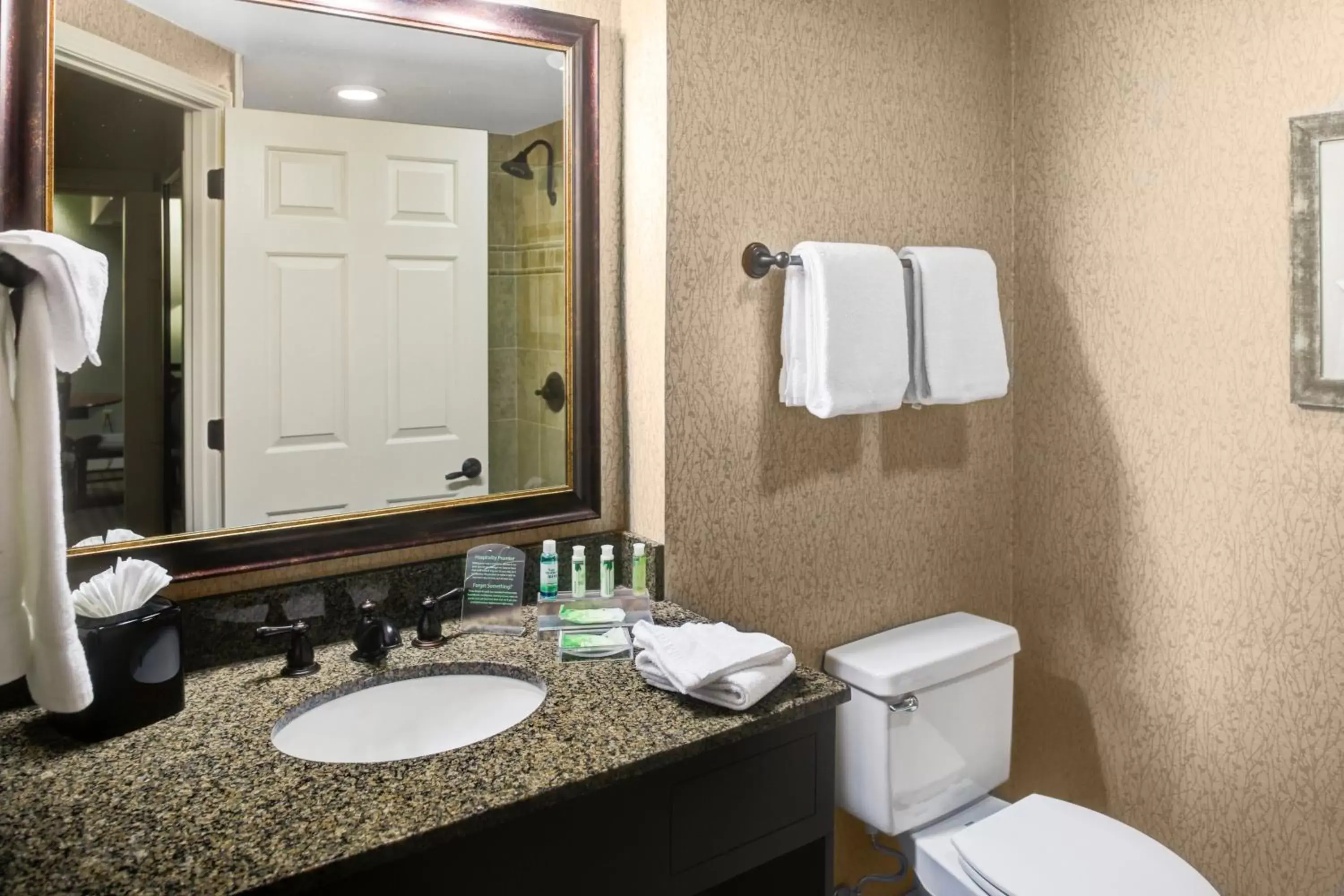 Bathroom in Holiday Inn Express Hotel & Suites Atlanta Buckhead, an IHG Hotel