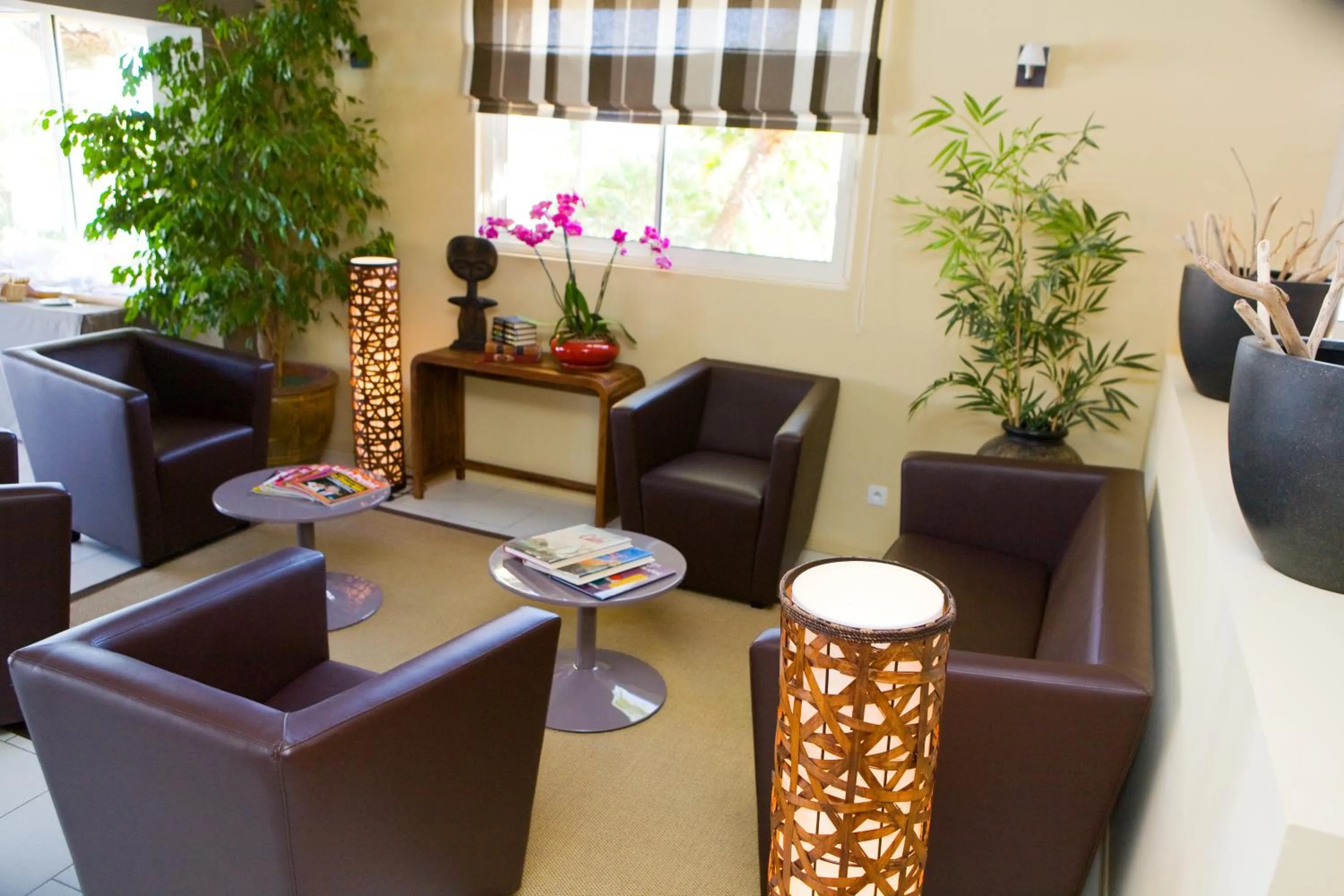 Area and facilities in Hotel Cesario