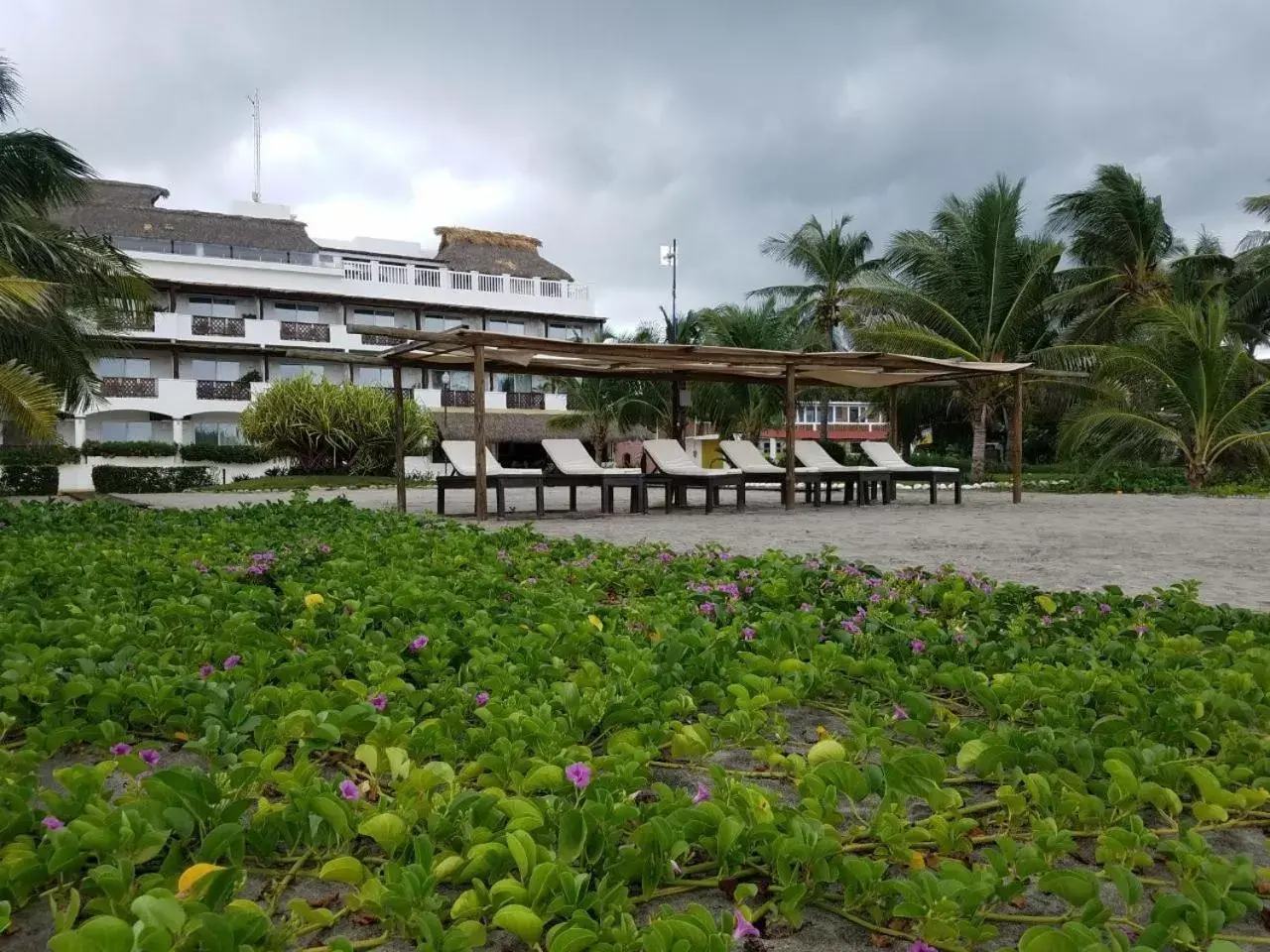 Garden, Property Building in Hotel Blater