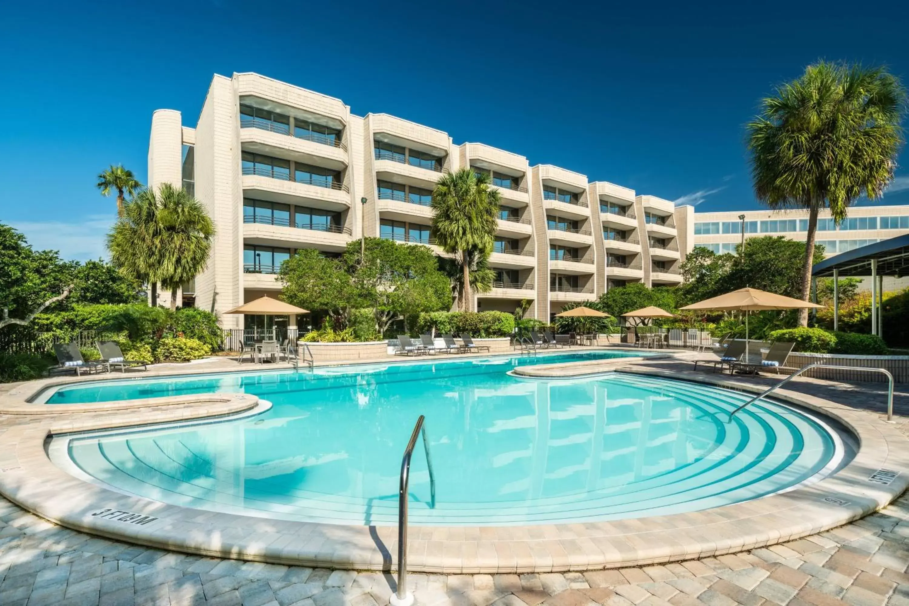 Swimming pool, Property Building in Sheraton Tampa Brandon Hotel