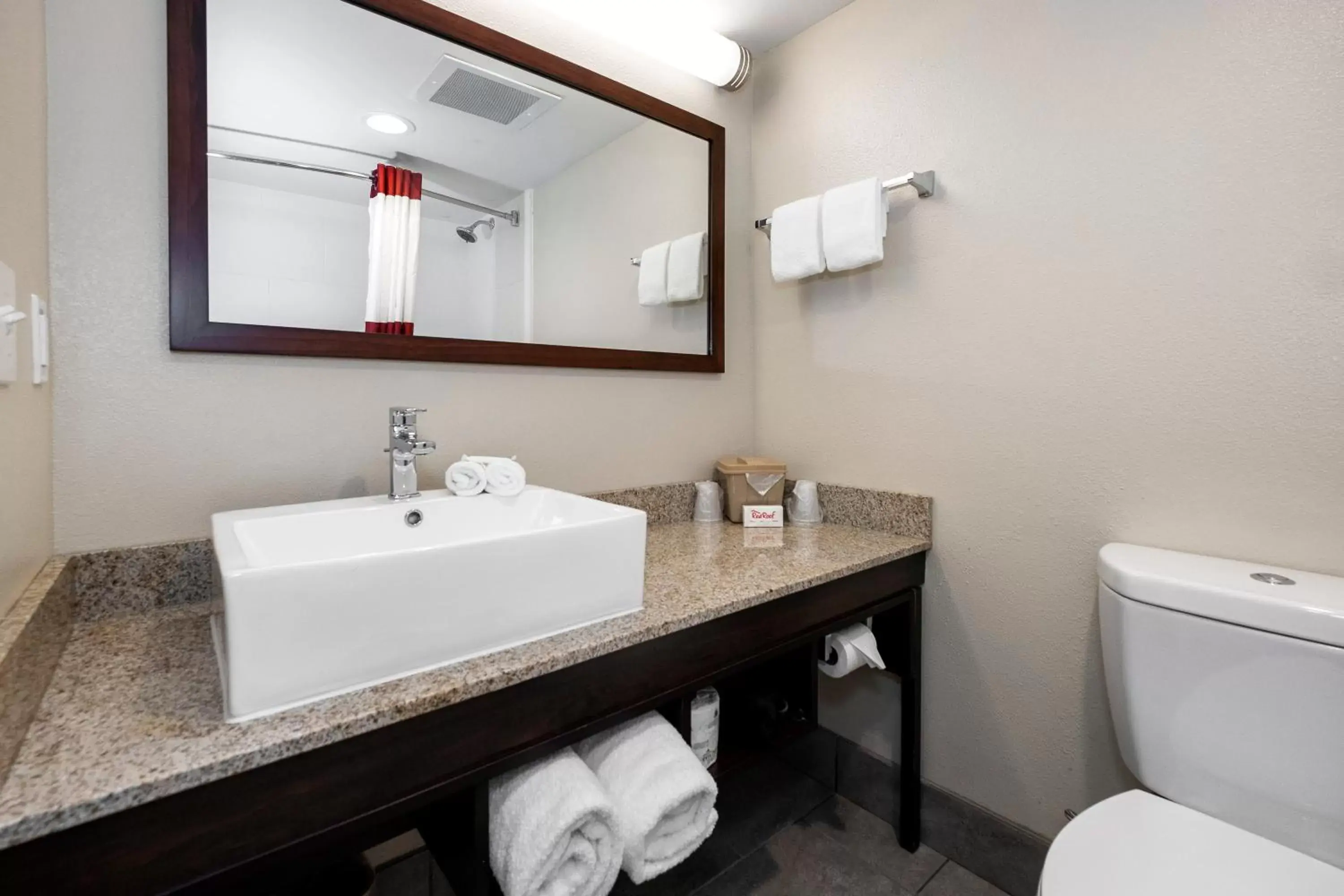 Bathroom in Red Roof Inn PLUS+ Tuscaloosa - University