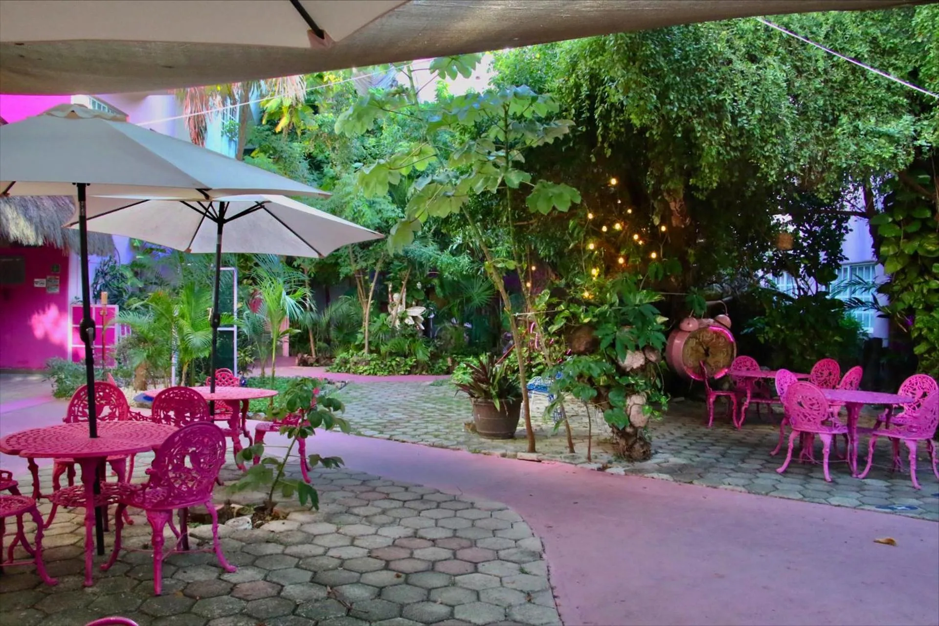 Garden, Restaurant/Places to Eat in Mala Vecindad Playa Beer Hotel