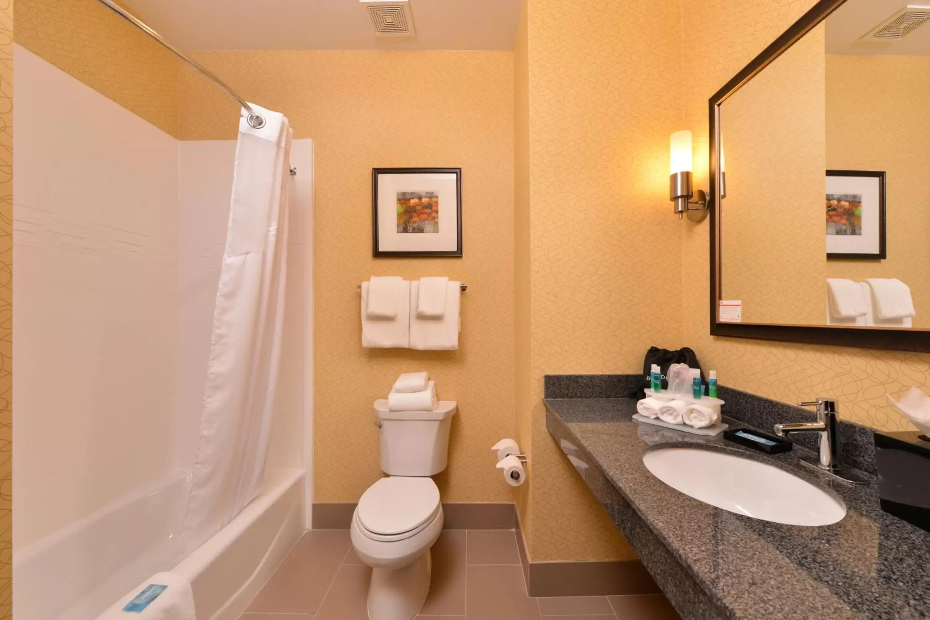 Photo of the whole room, Bathroom in Holiday Inn Express & Suites Bakersfield Airport, an IHG Hotel