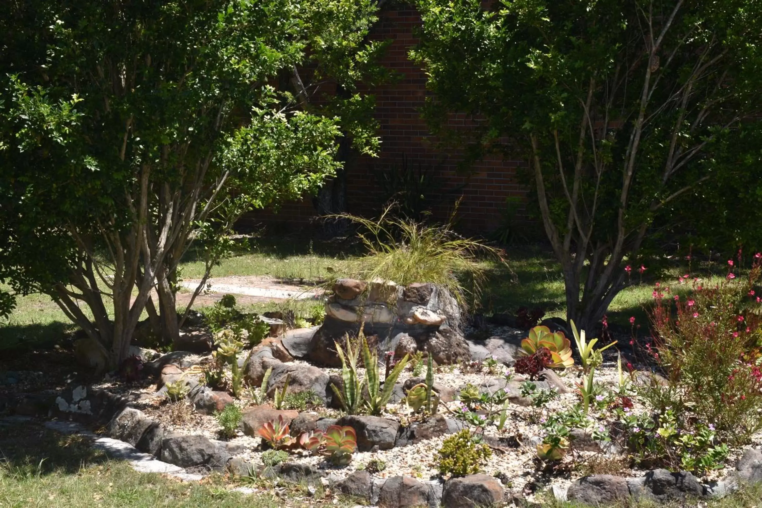 Garden in Forster and Wallis Lake Motel